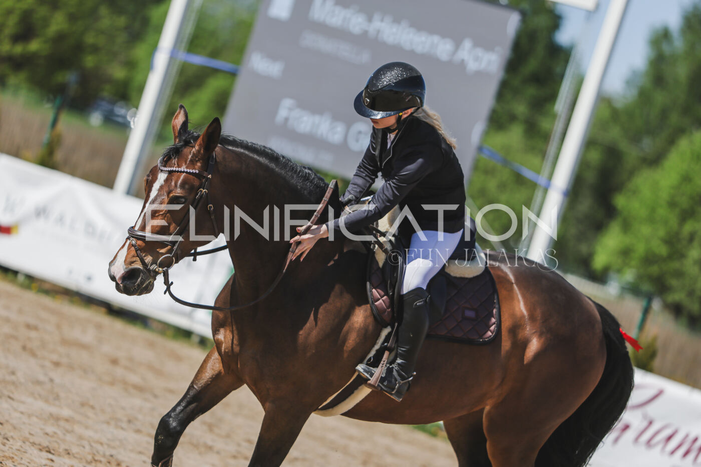 Gramina_Kevad_2026_90_336