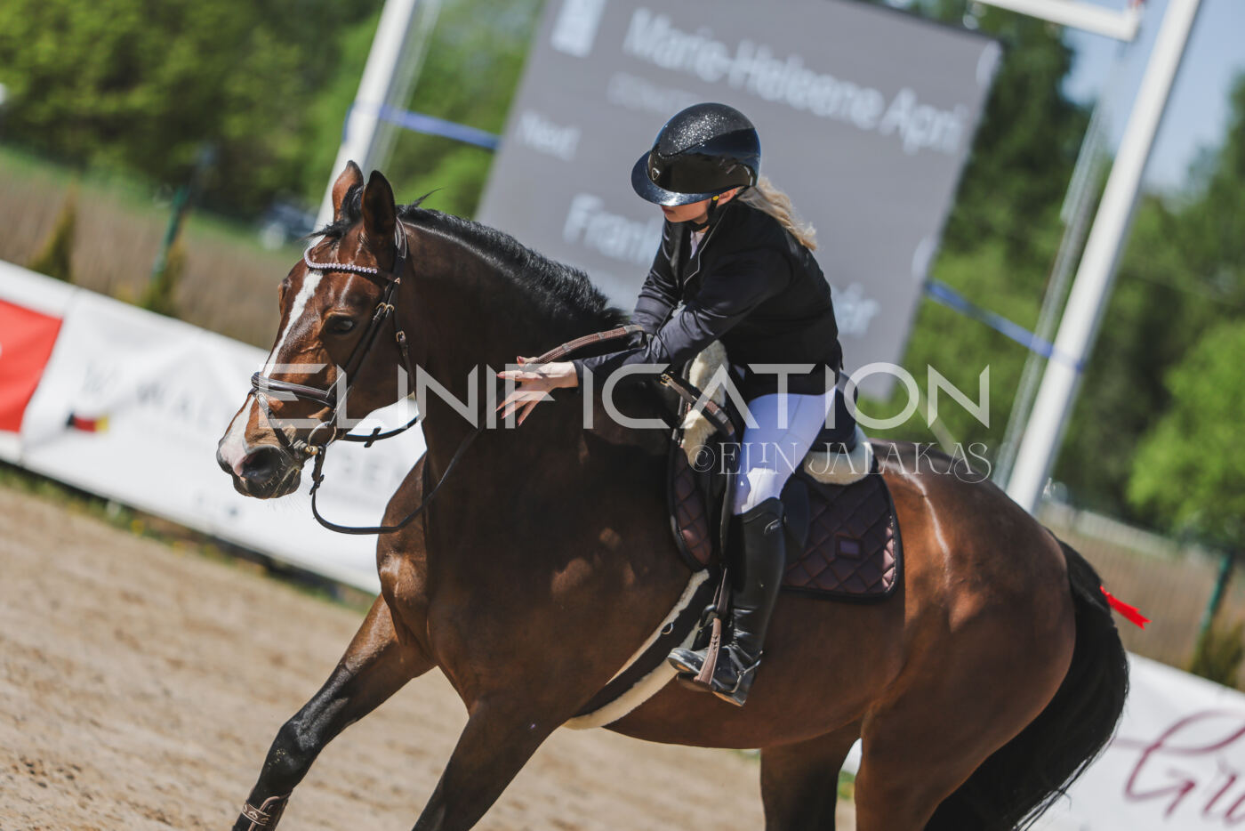 Gramina_Kevad_2026_90_337