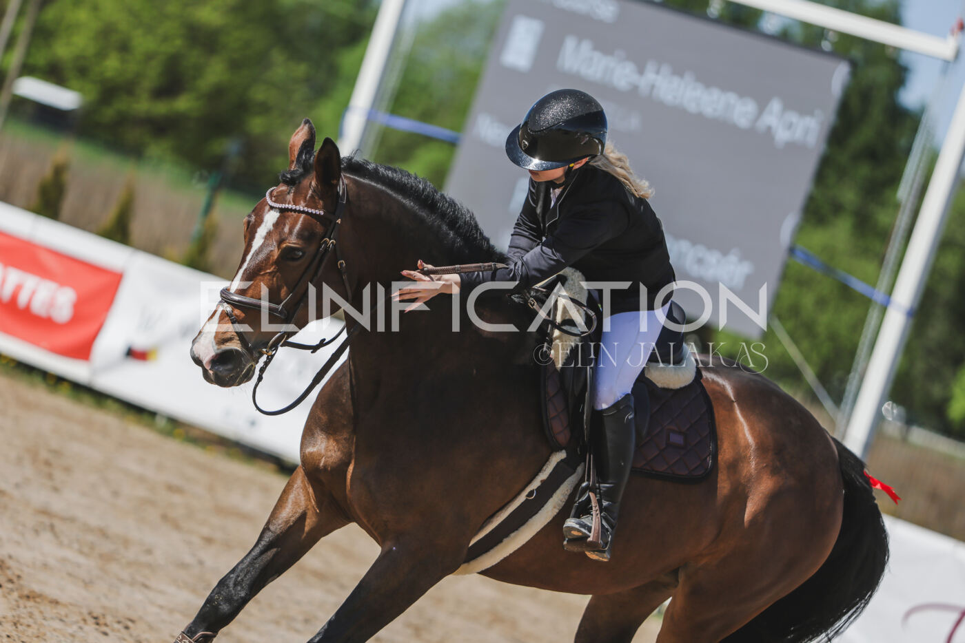 Gramina_Kevad_2026_90_338