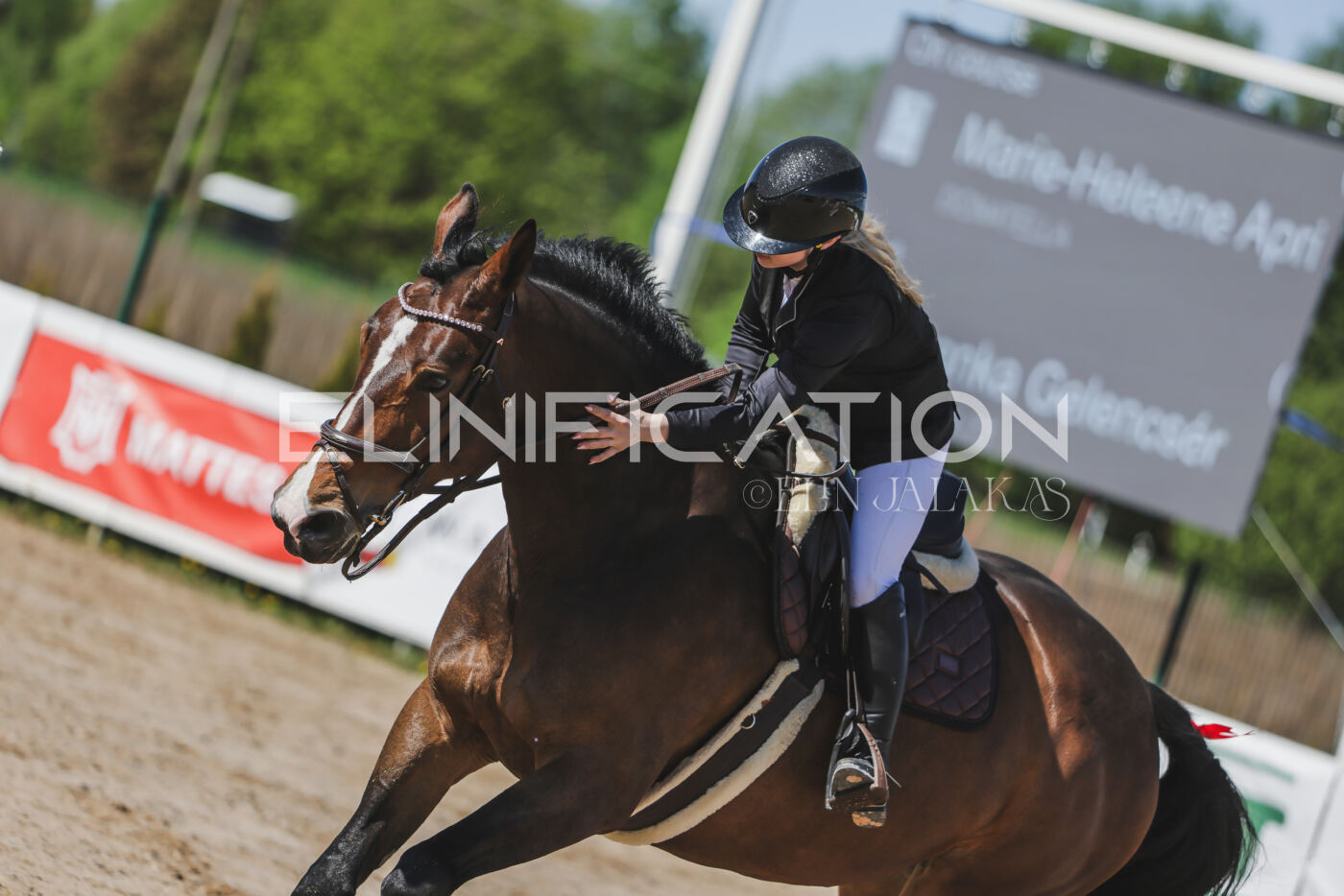 Gramina_Kevad_2026_90_340