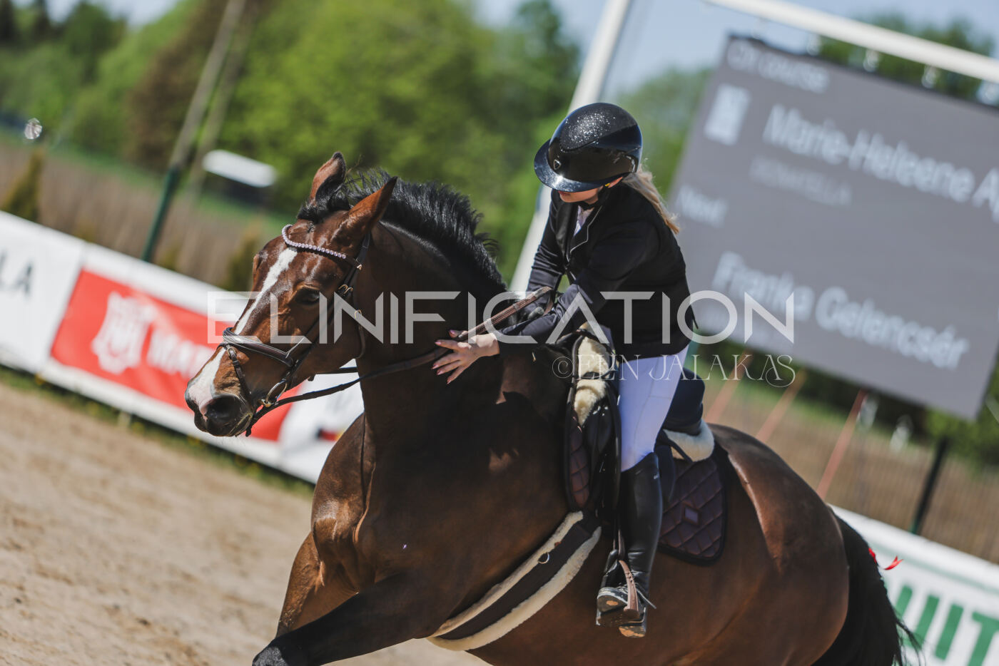 Gramina_Kevad_2026_90_341