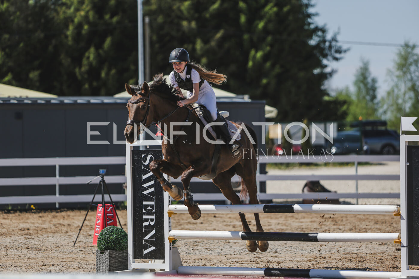 Gramina_Kevad_2026_90_344