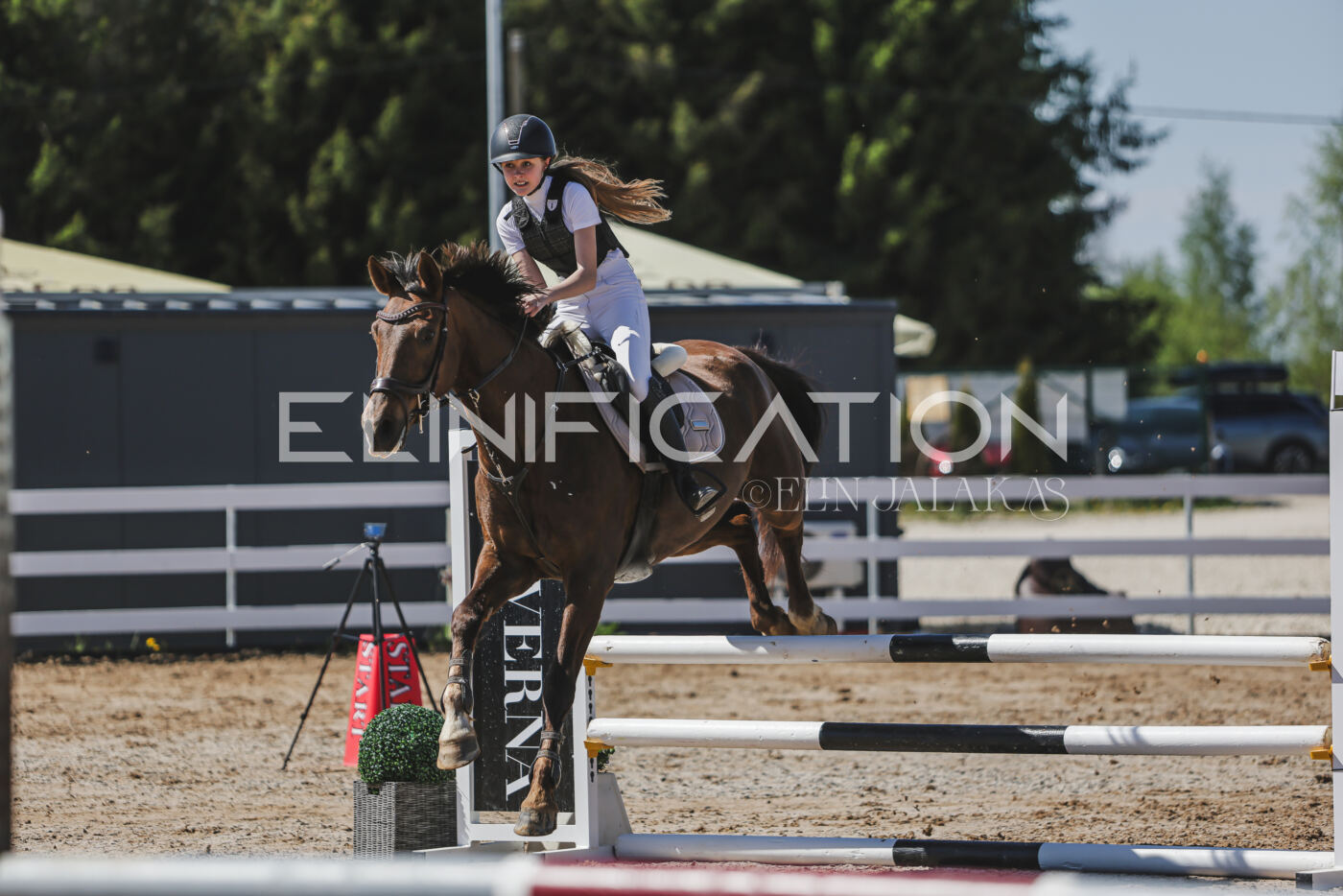 Gramina_Kevad_2026_90_346
