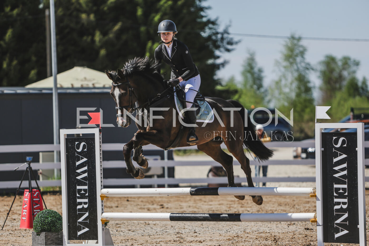 Gramina_Kevad_2026_90_349