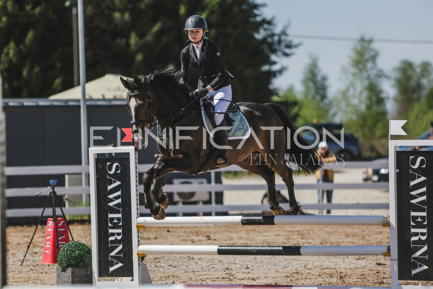 Gramina_Kevad_2026_90_350