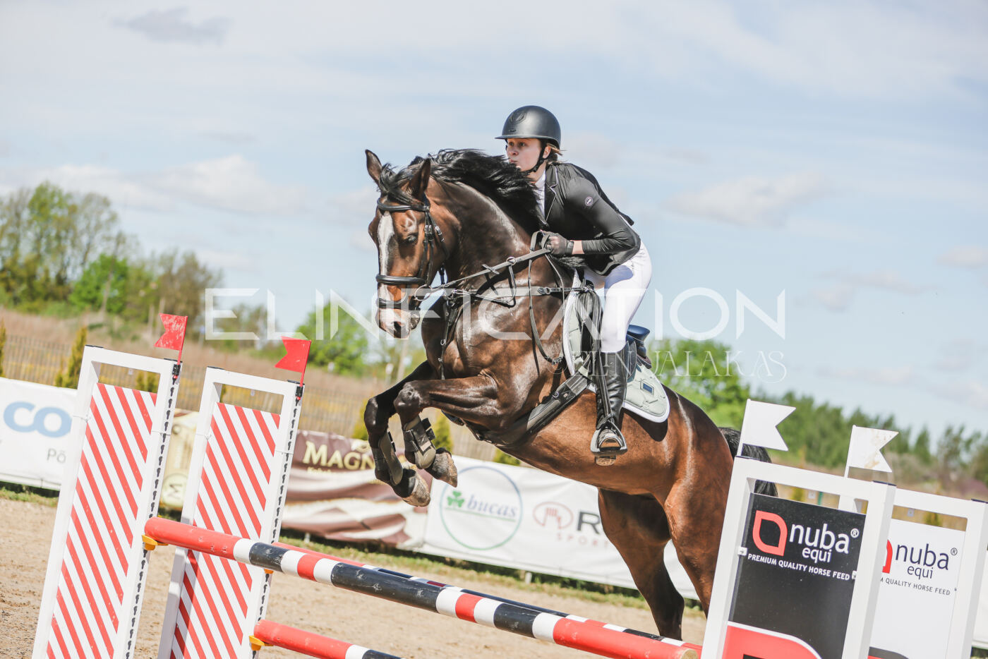 Gramina_Kevad_2026_90_351