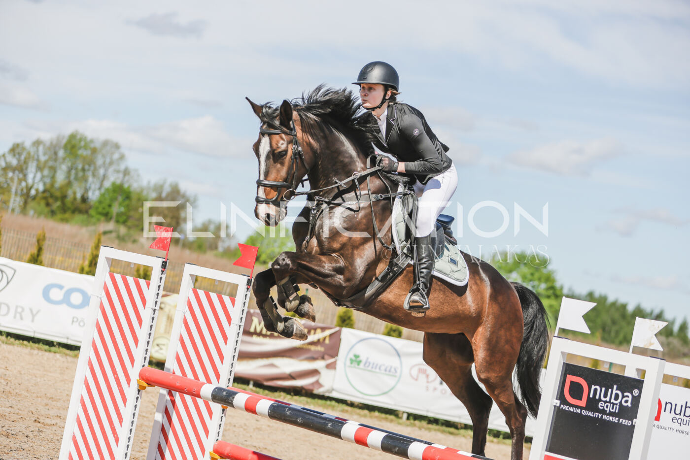 Gramina_Kevad_2026_90_352