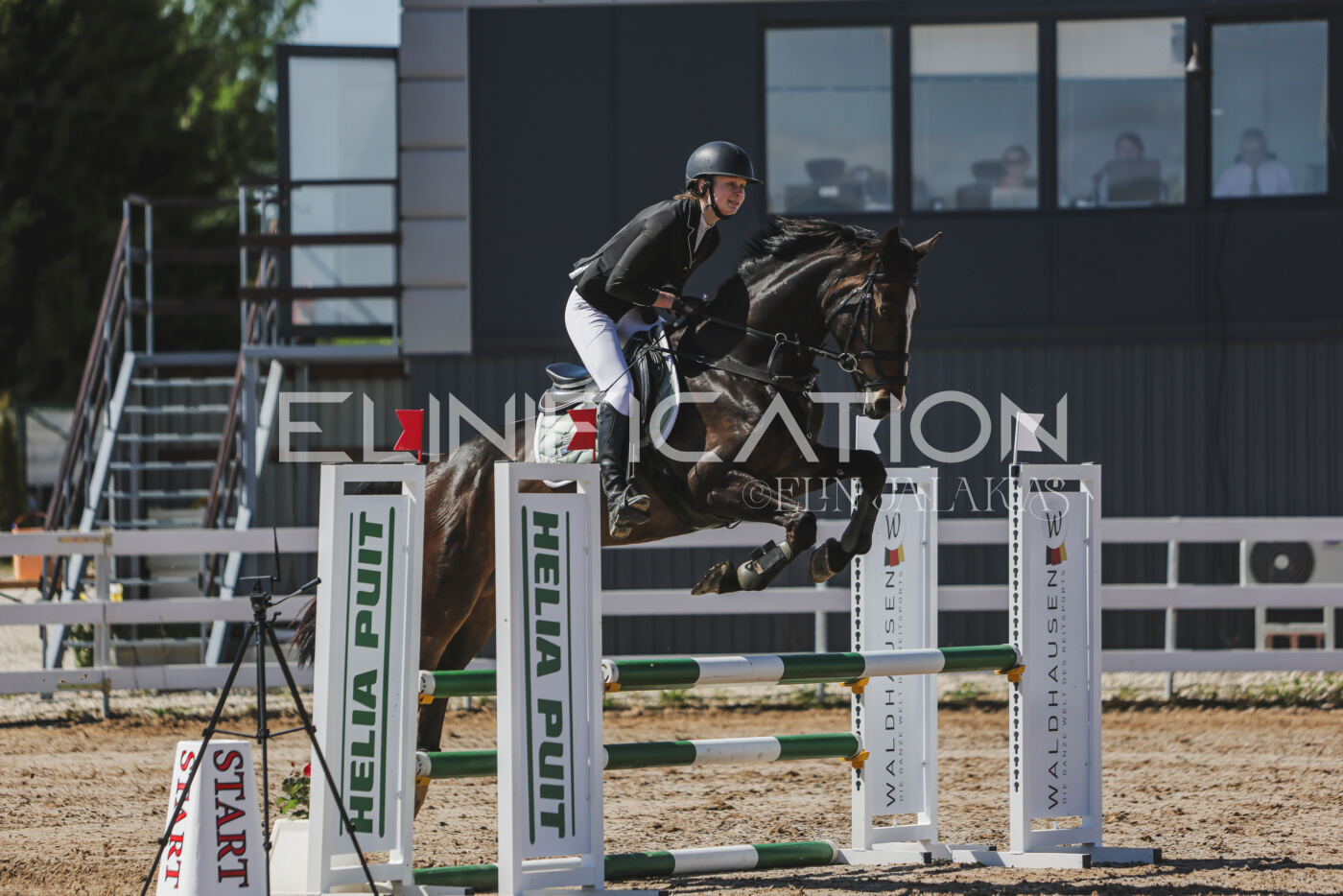 Gramina_Kevad_2026_90_357