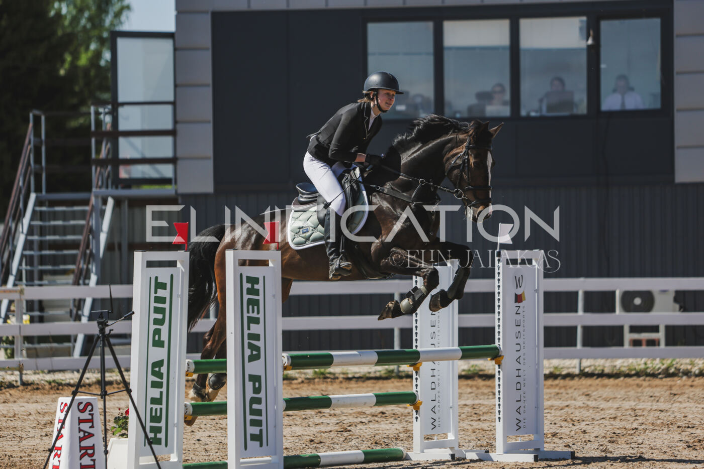 Gramina_Kevad_2026_90_358