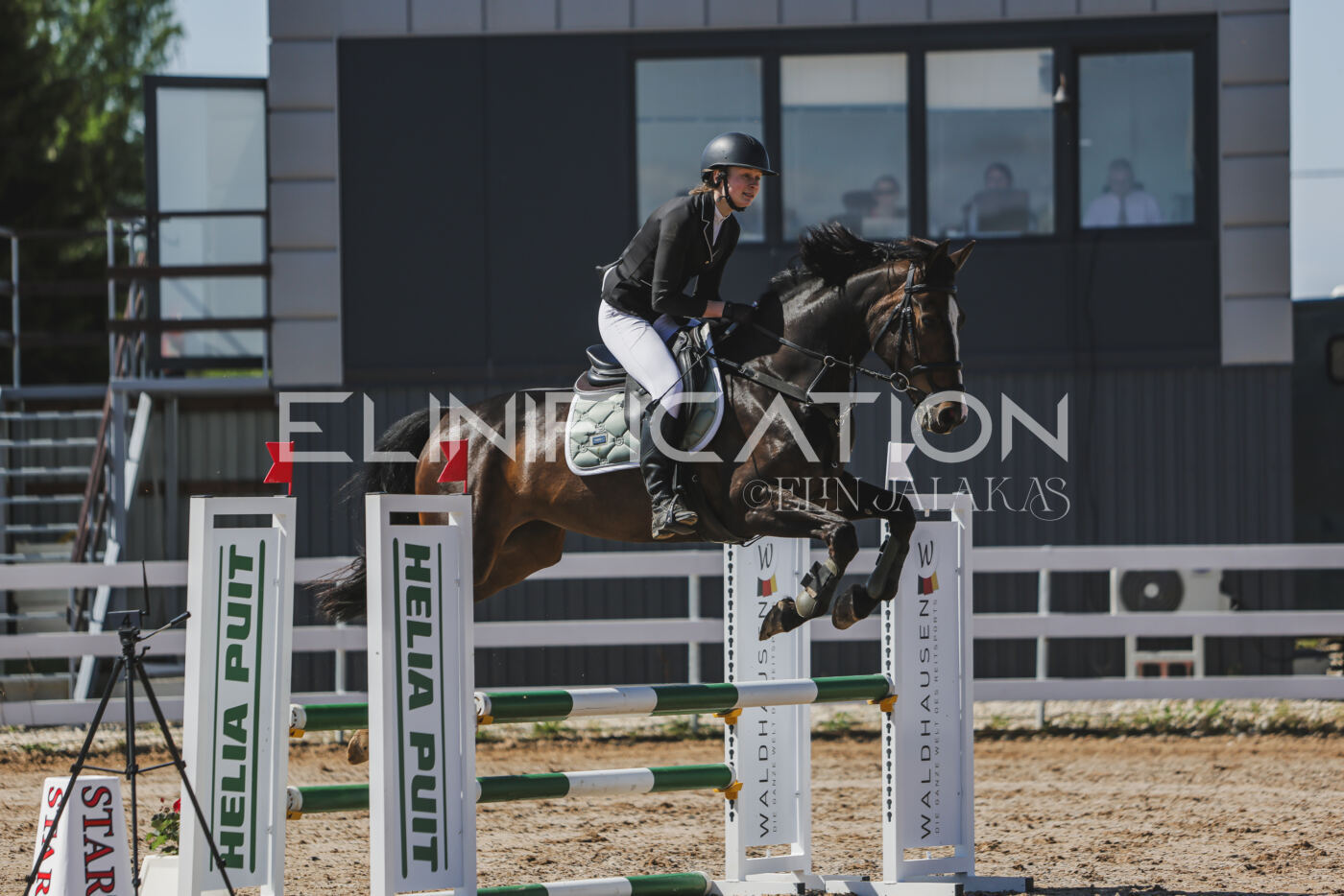 Gramina_Kevad_2026_90_359