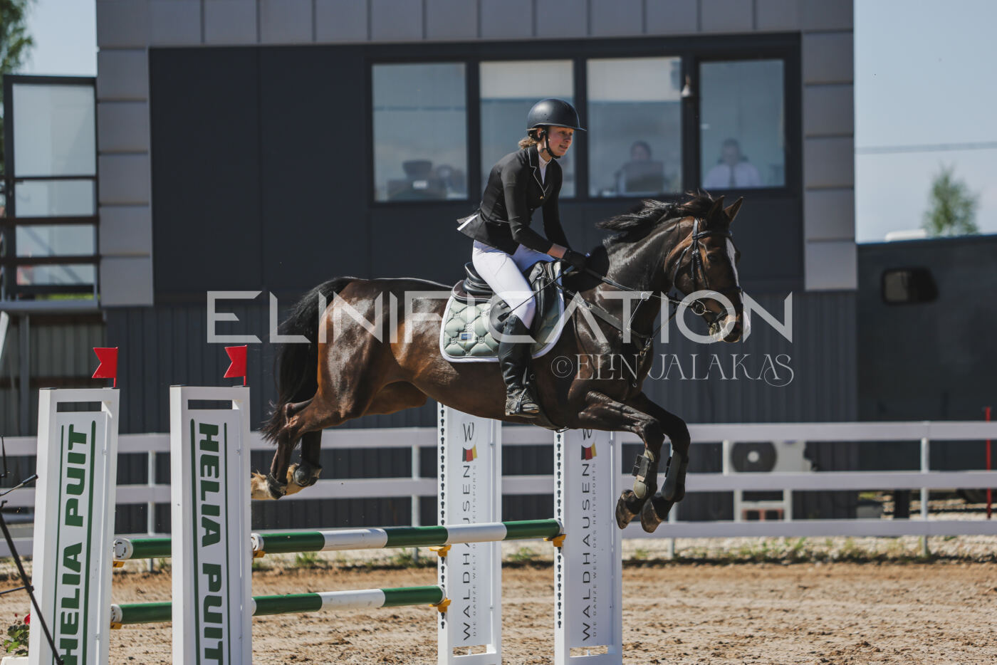 Gramina_Kevad_2026_90_361