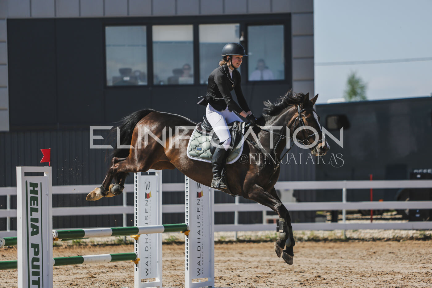 Gramina_Kevad_2026_90_363