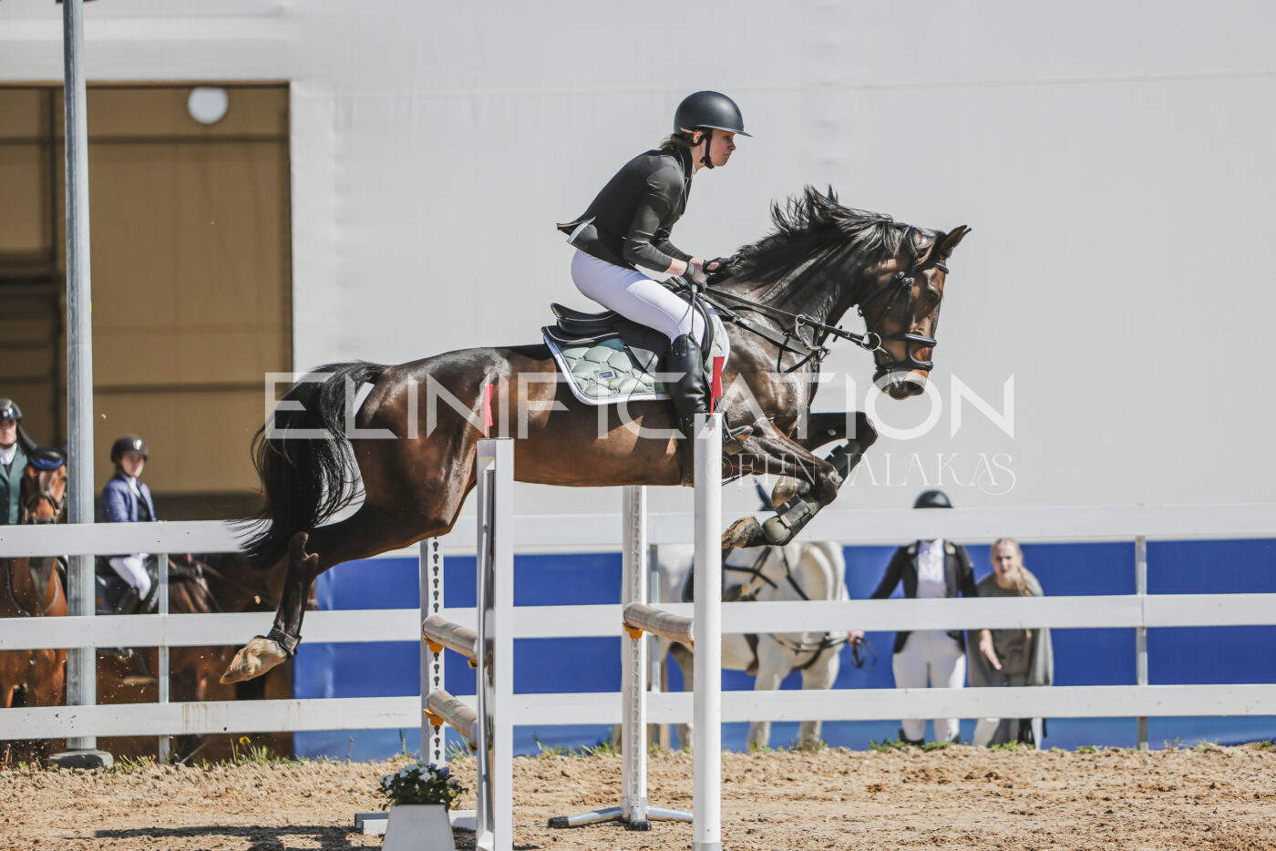 Gramina_Kevad_2026_90_369