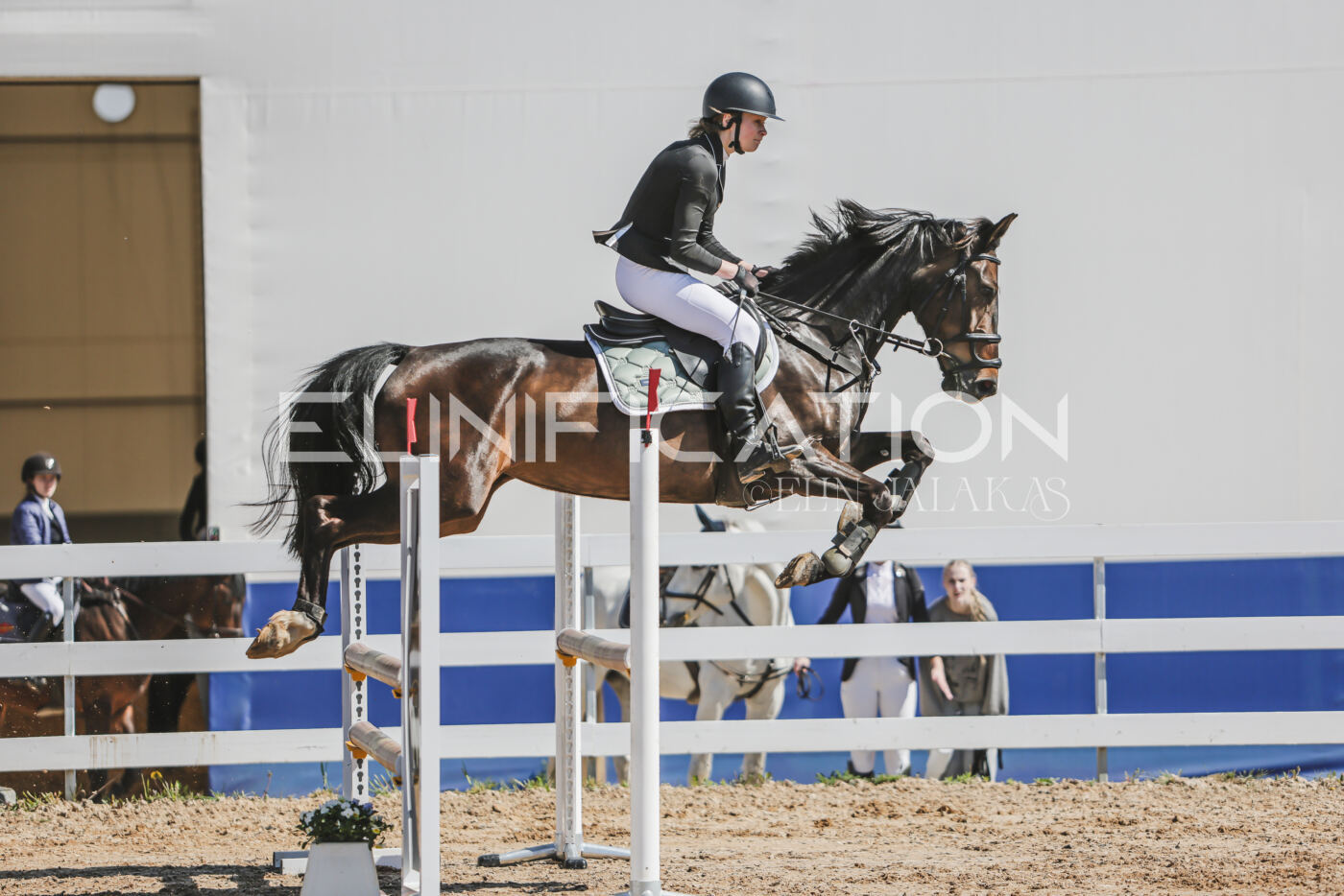 Gramina_Kevad_2026_90_370