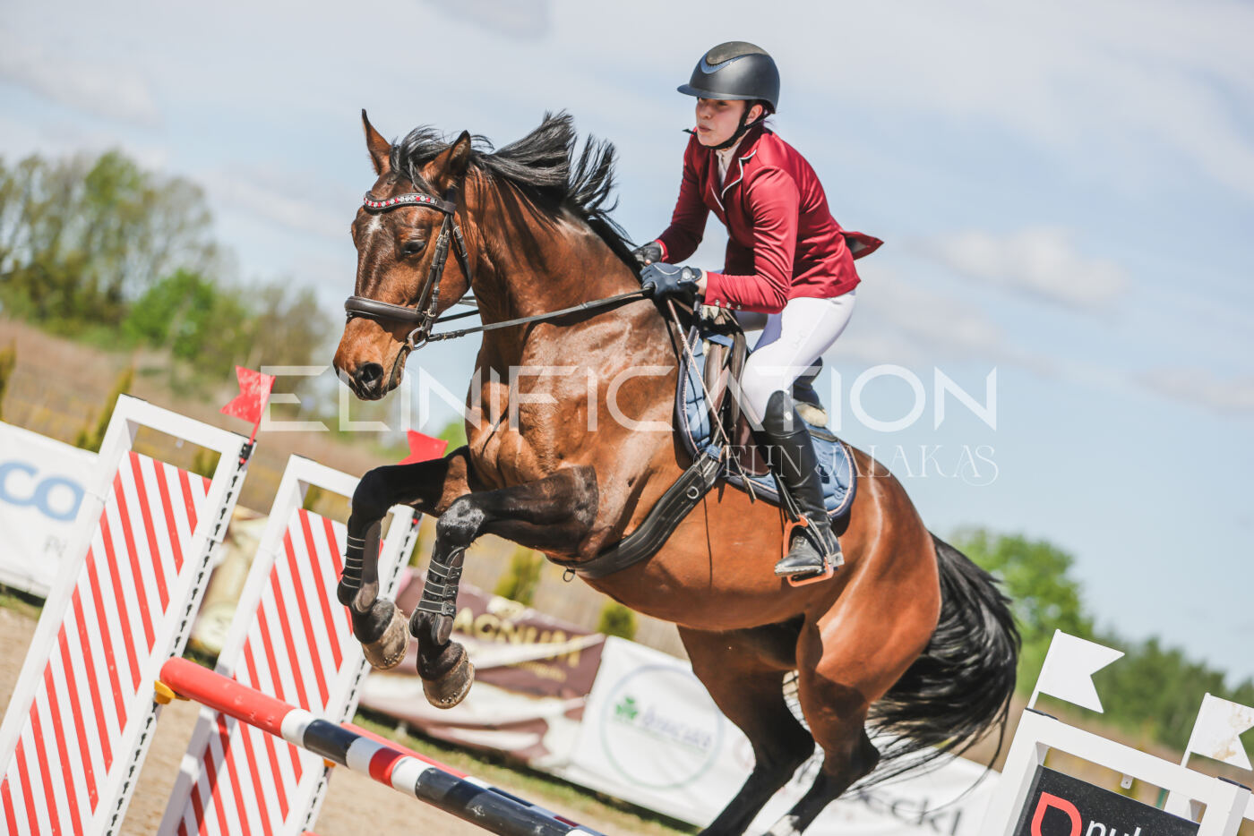 Gramina_Kevad_2026_90_375