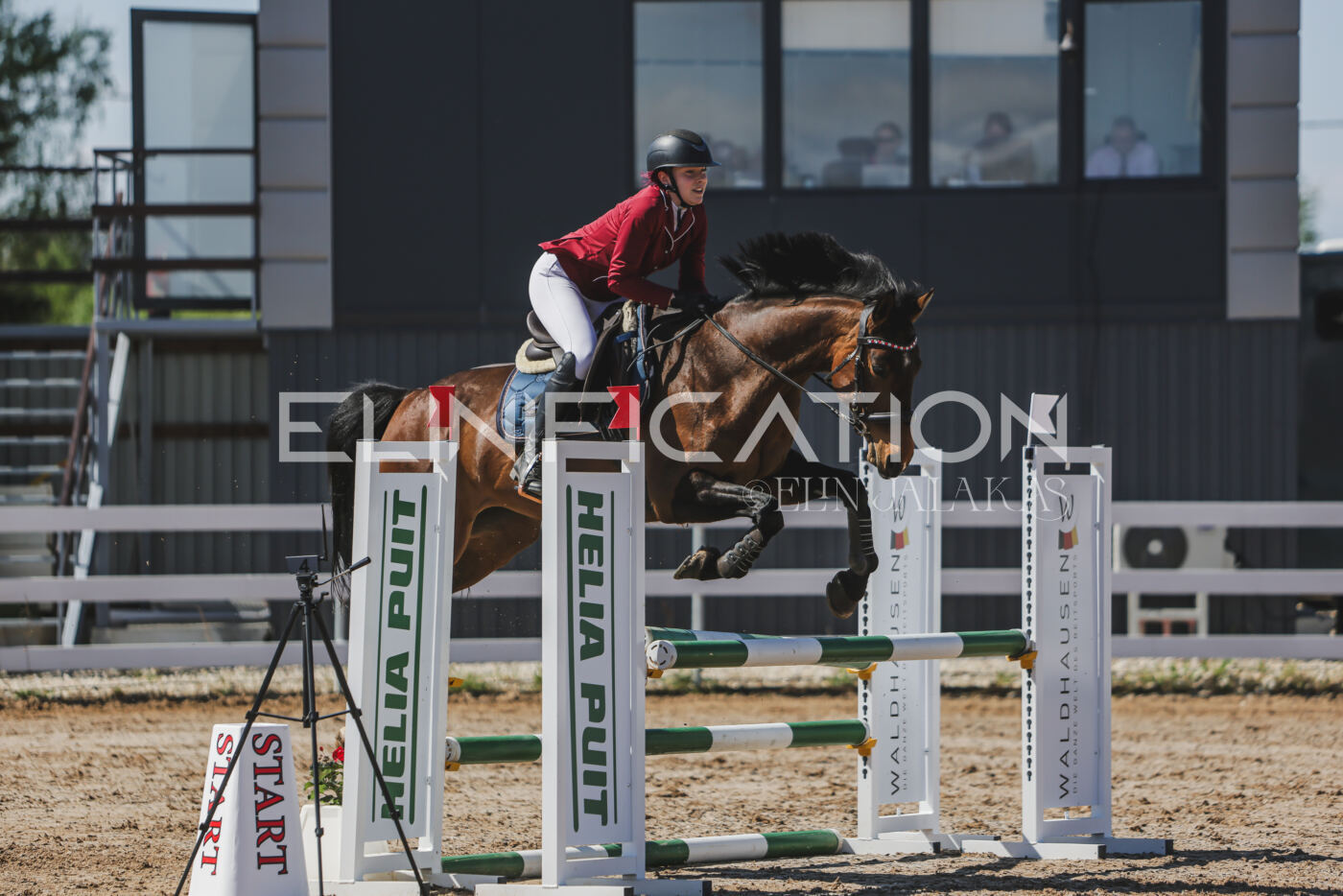 Gramina_Kevad_2026_90_377