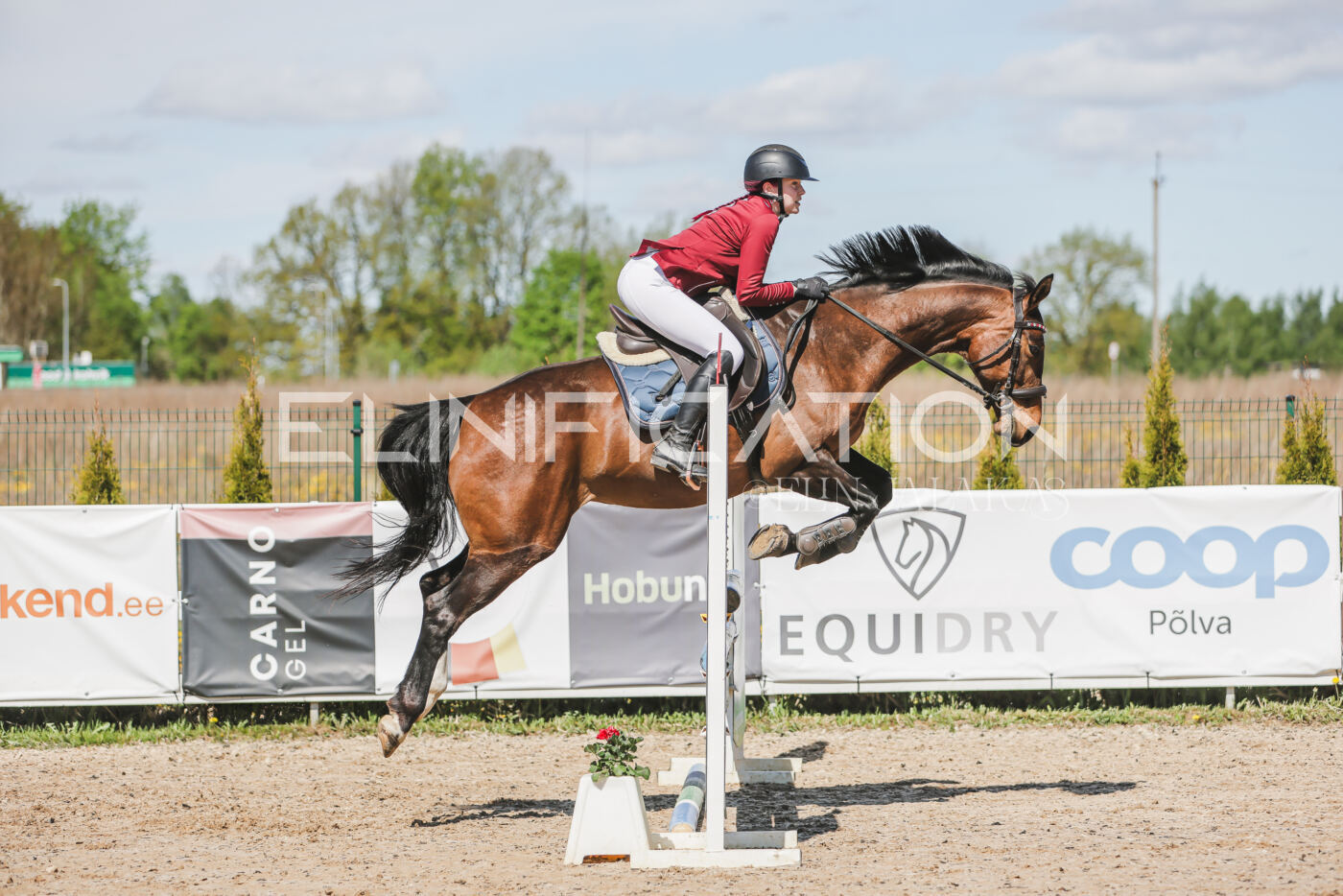Gramina_Kevad_2026_90_381