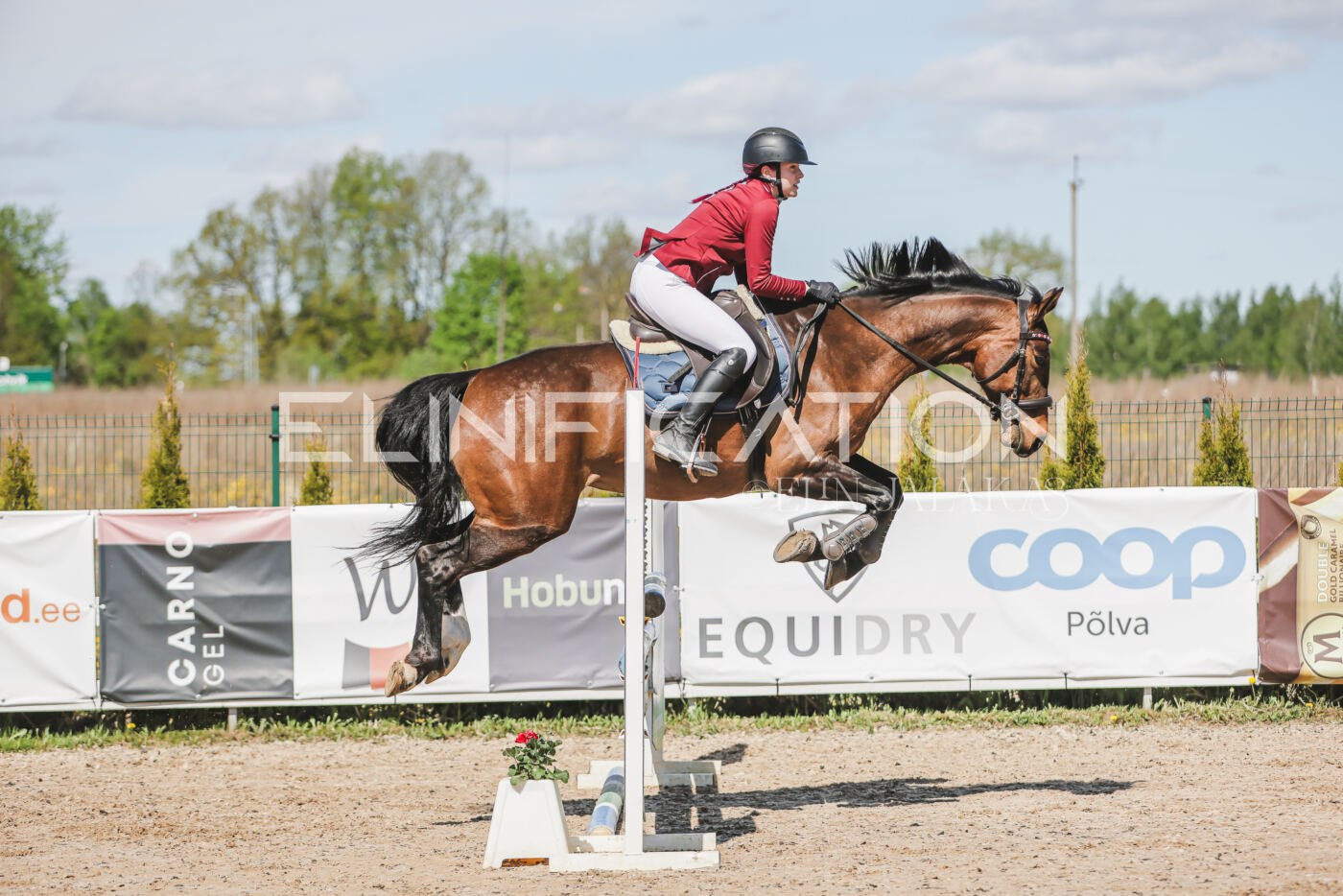 Gramina_Kevad_2026_90_382