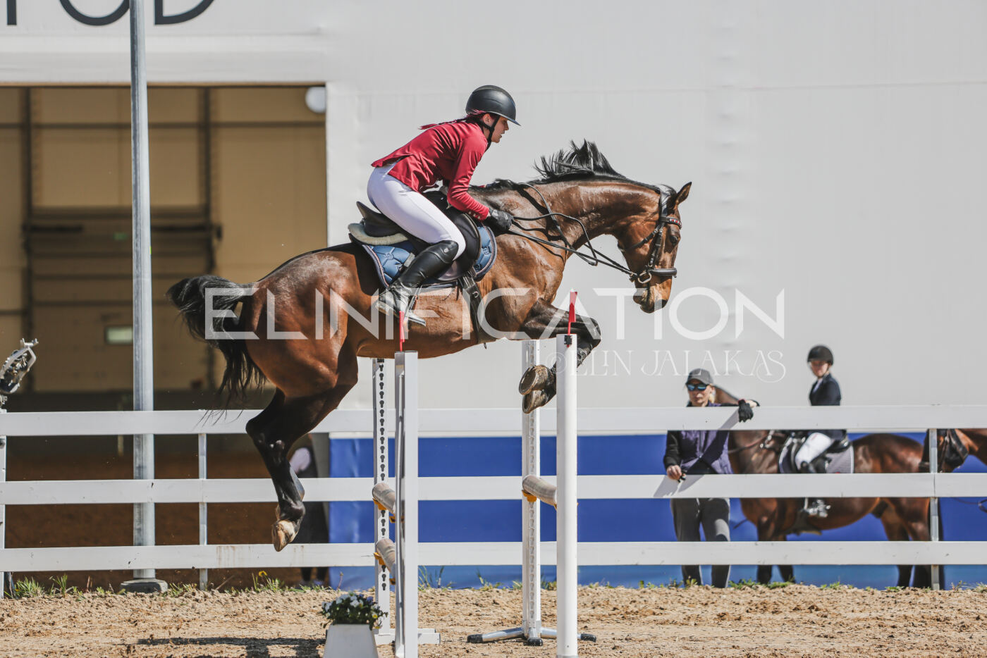 Gramina_Kevad_2026_90_384