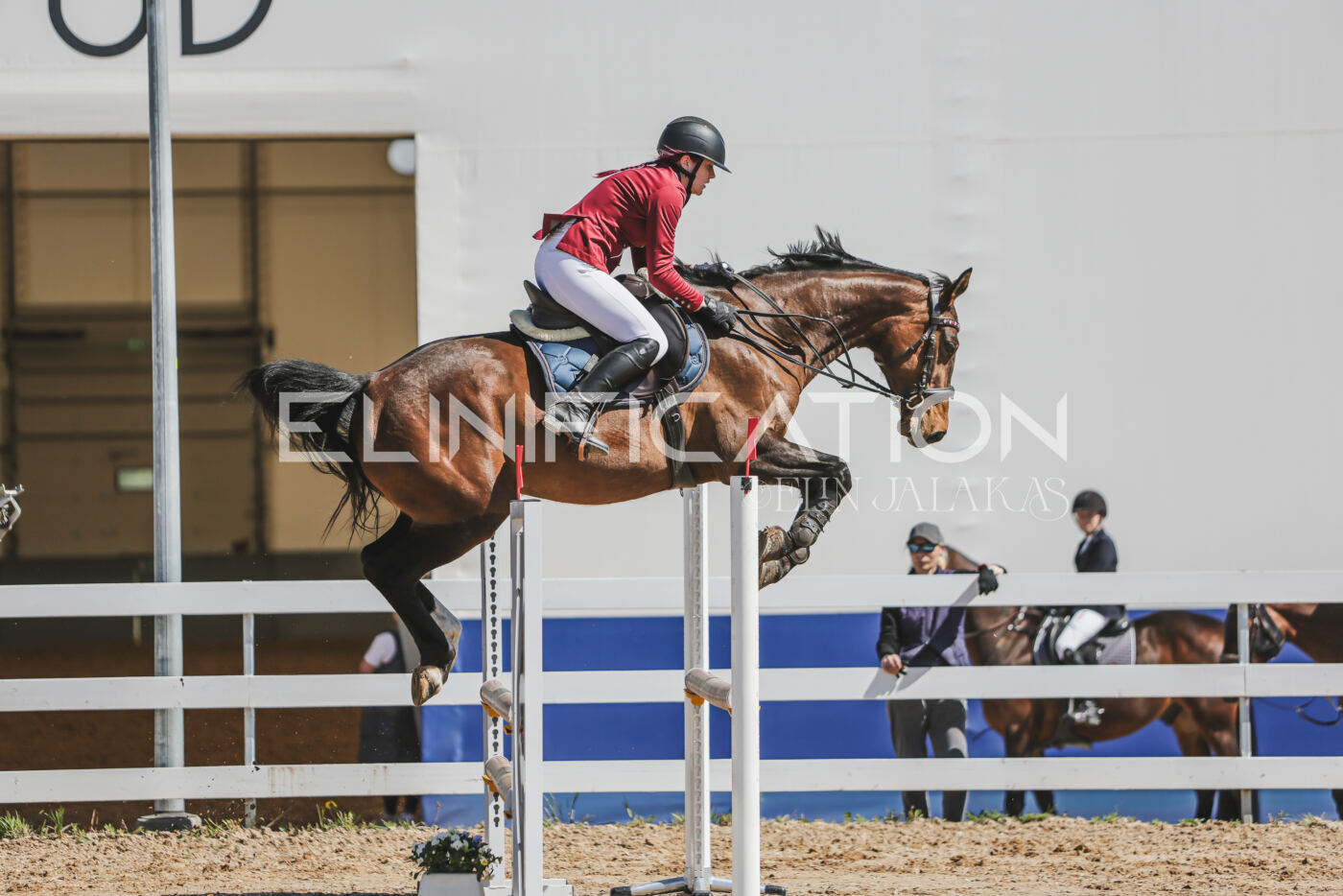 Gramina_Kevad_2026_90_385
