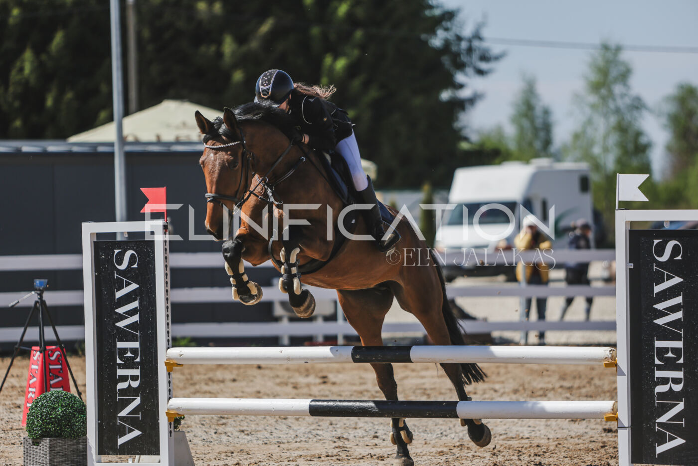 Gramina_Kevad_2026_90_386