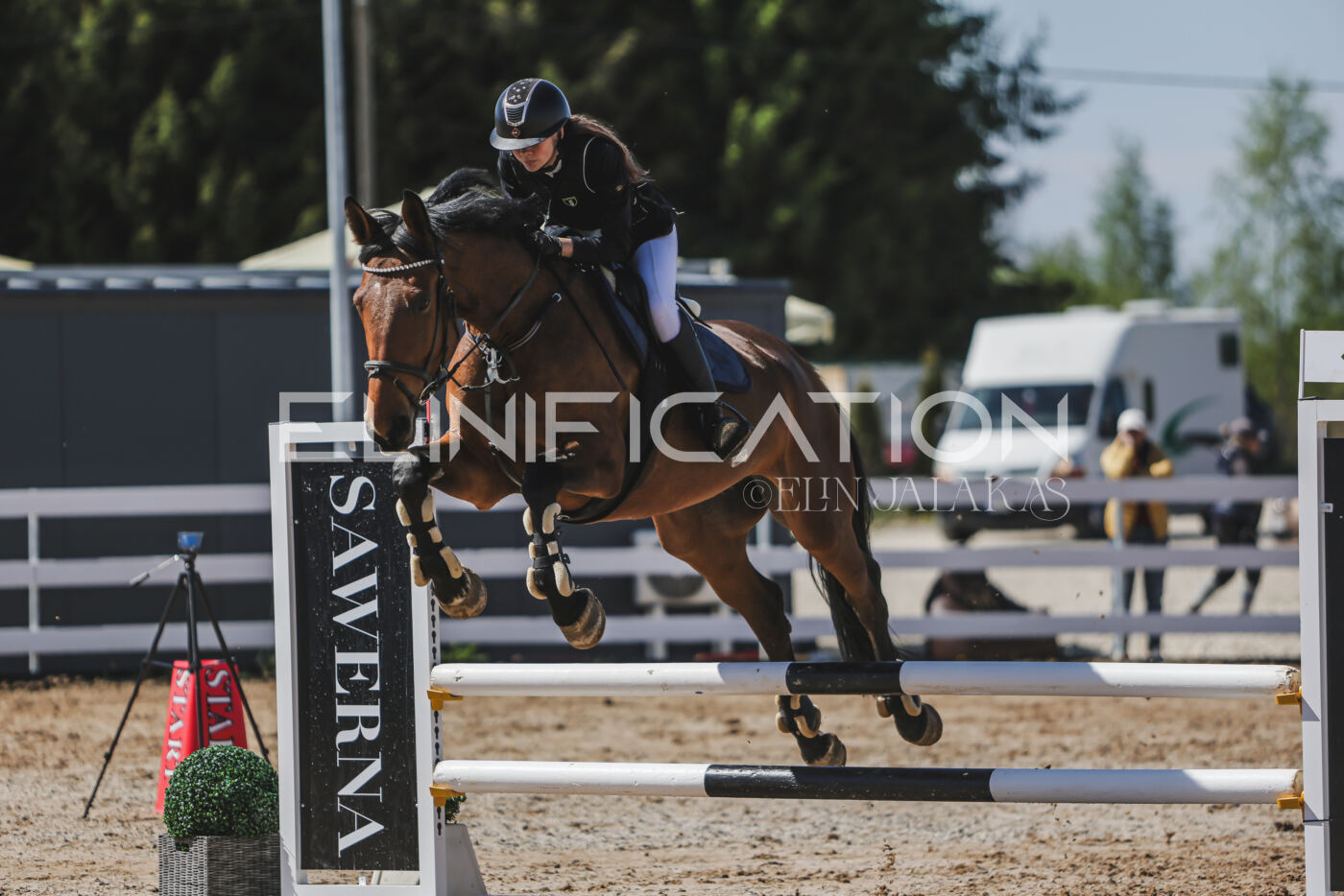Gramina_Kevad_2026_90_388