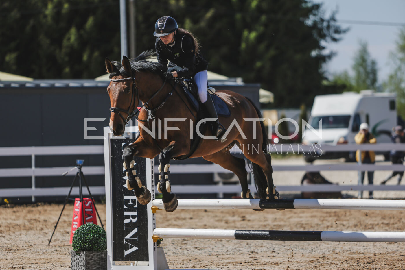 Gramina_Kevad_2026_90_389