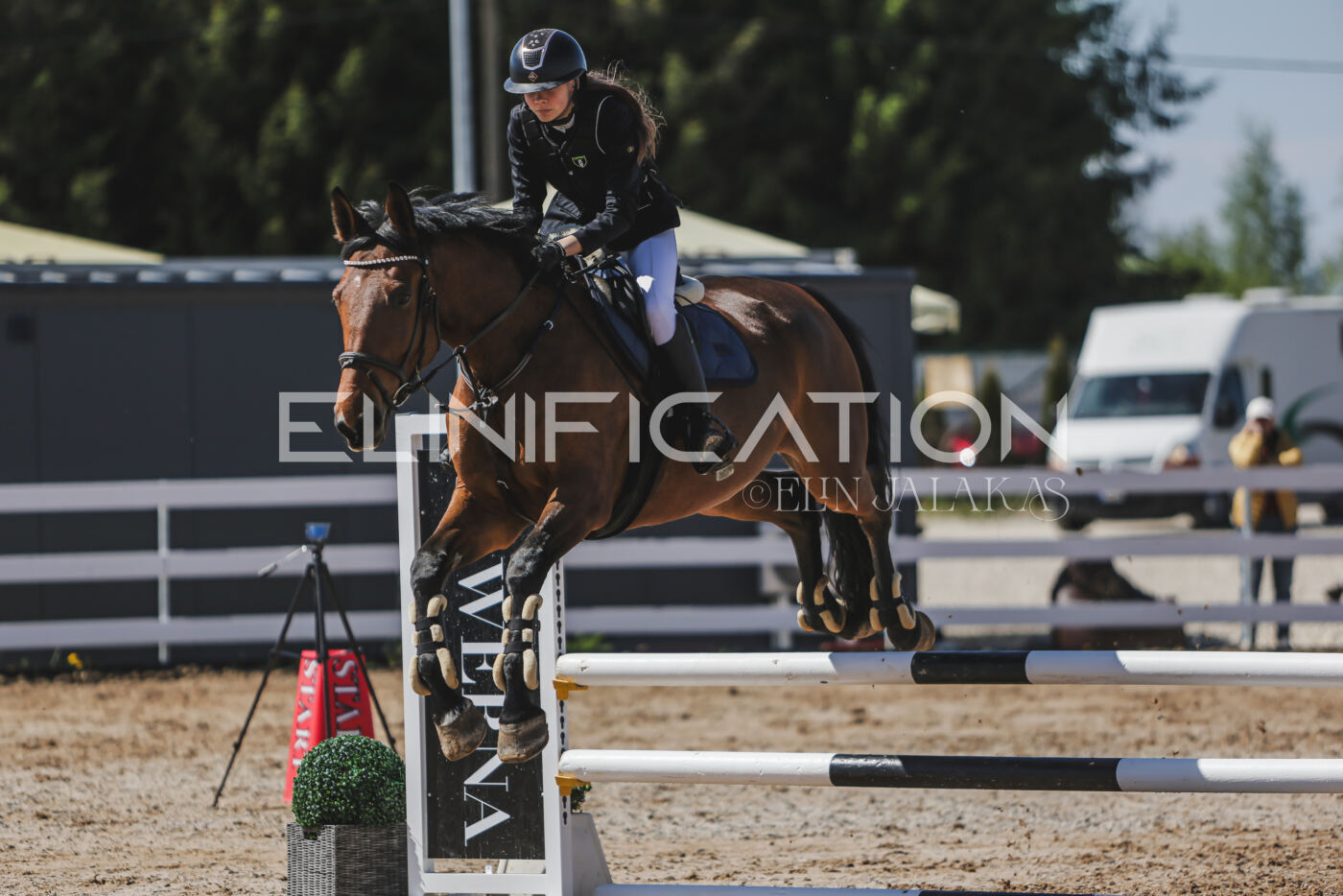 Gramina_Kevad_2026_90_390