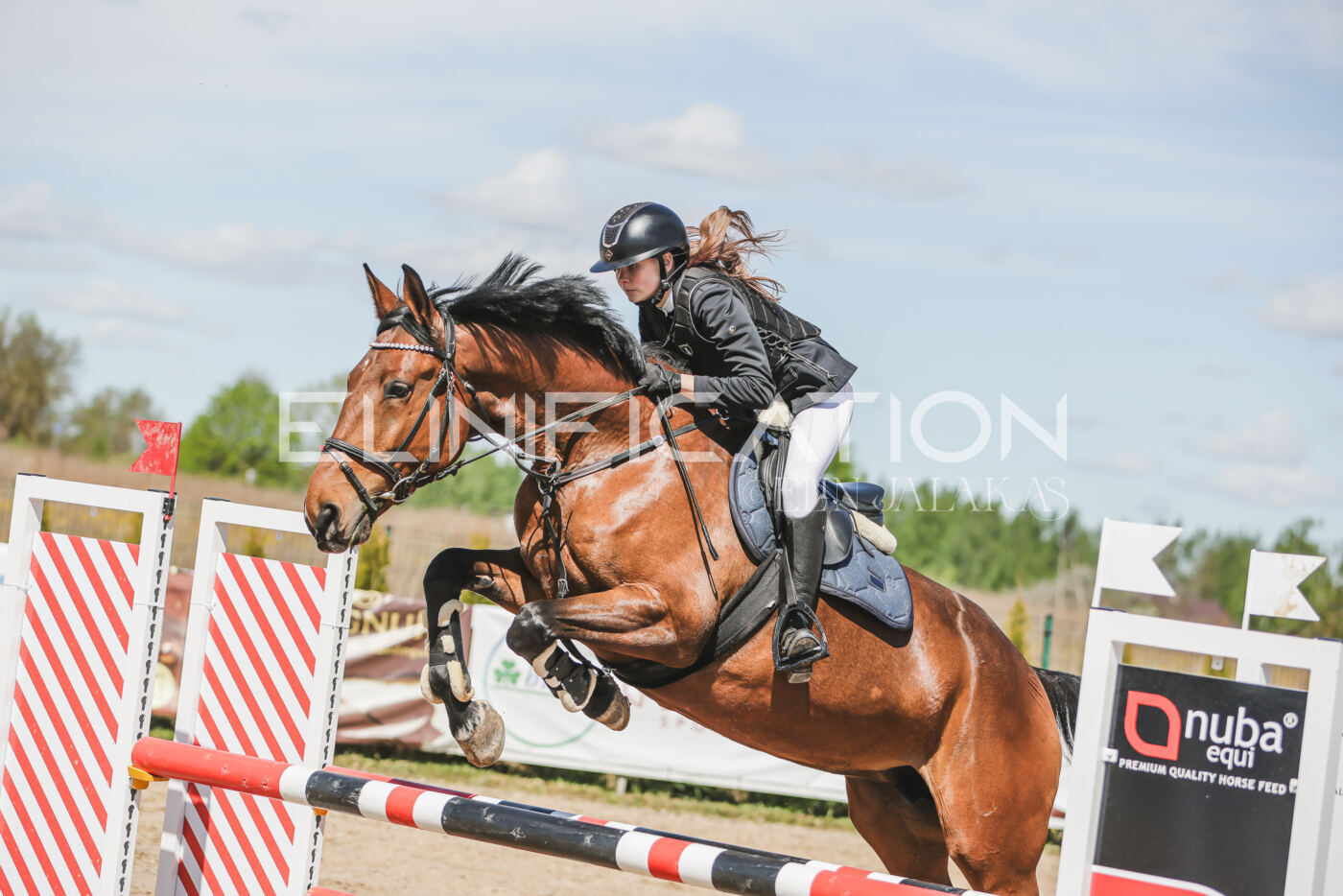 Gramina_Kevad_2026_90_391