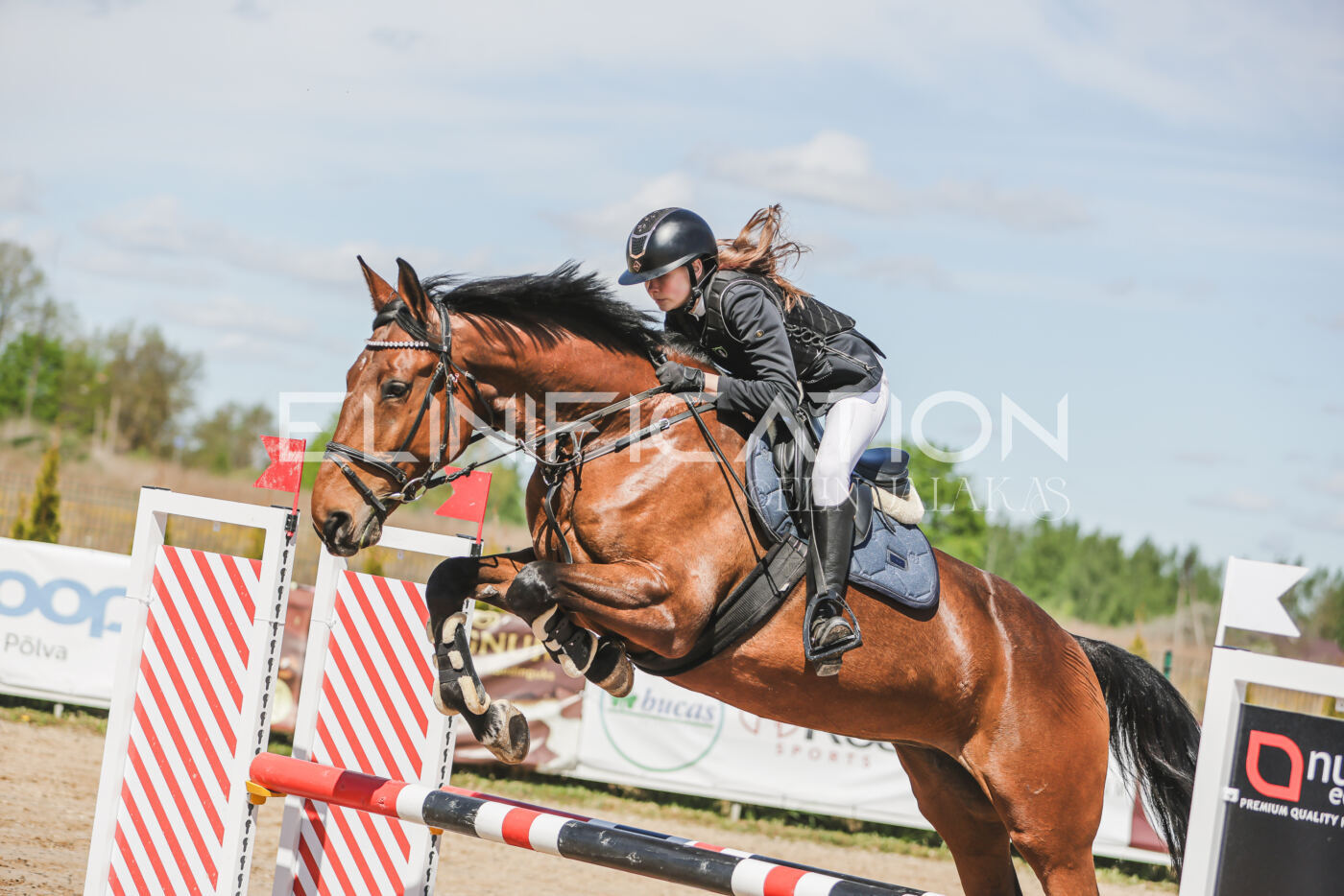 Gramina_Kevad_2026_90_392