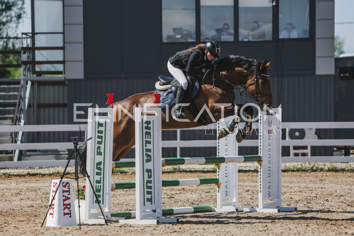 Gramina_Kevad_2026_90_396