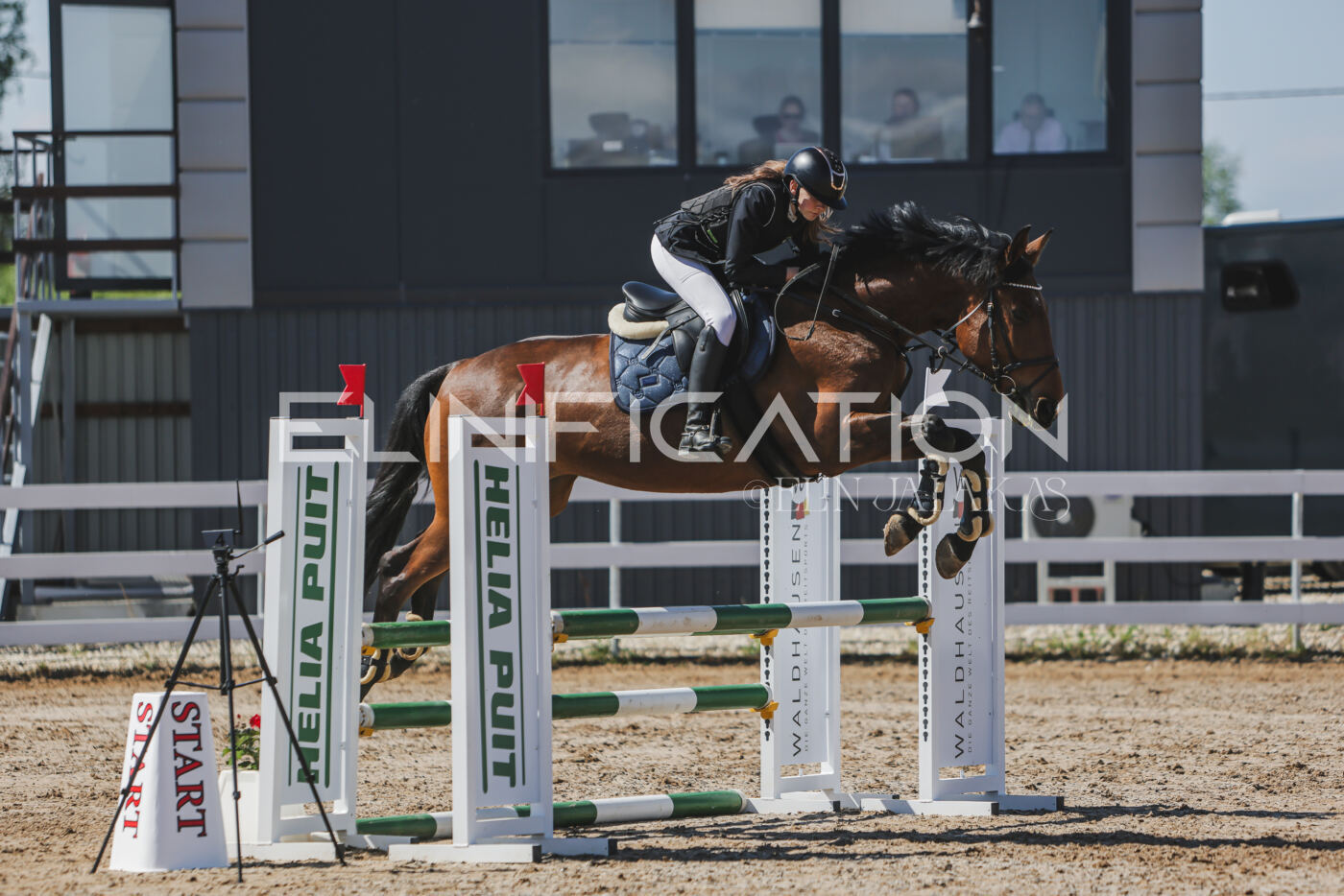 Gramina_Kevad_2026_90_397