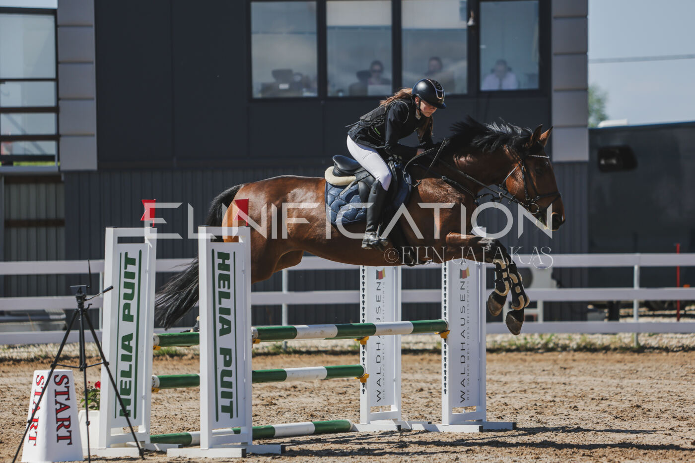 Gramina_Kevad_2026_90_398