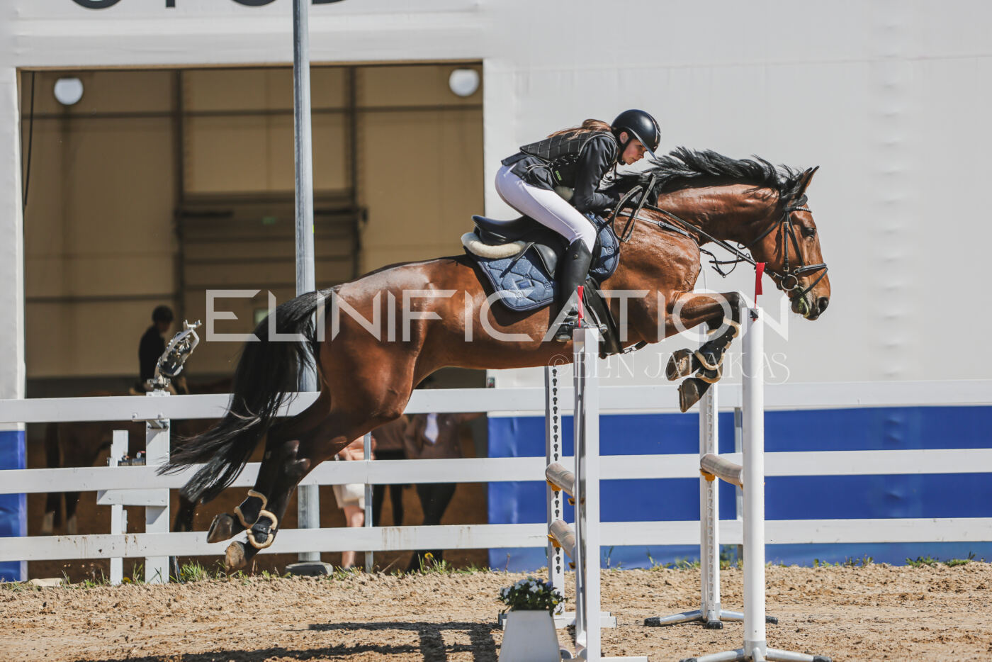Gramina_Kevad_2026_90_402