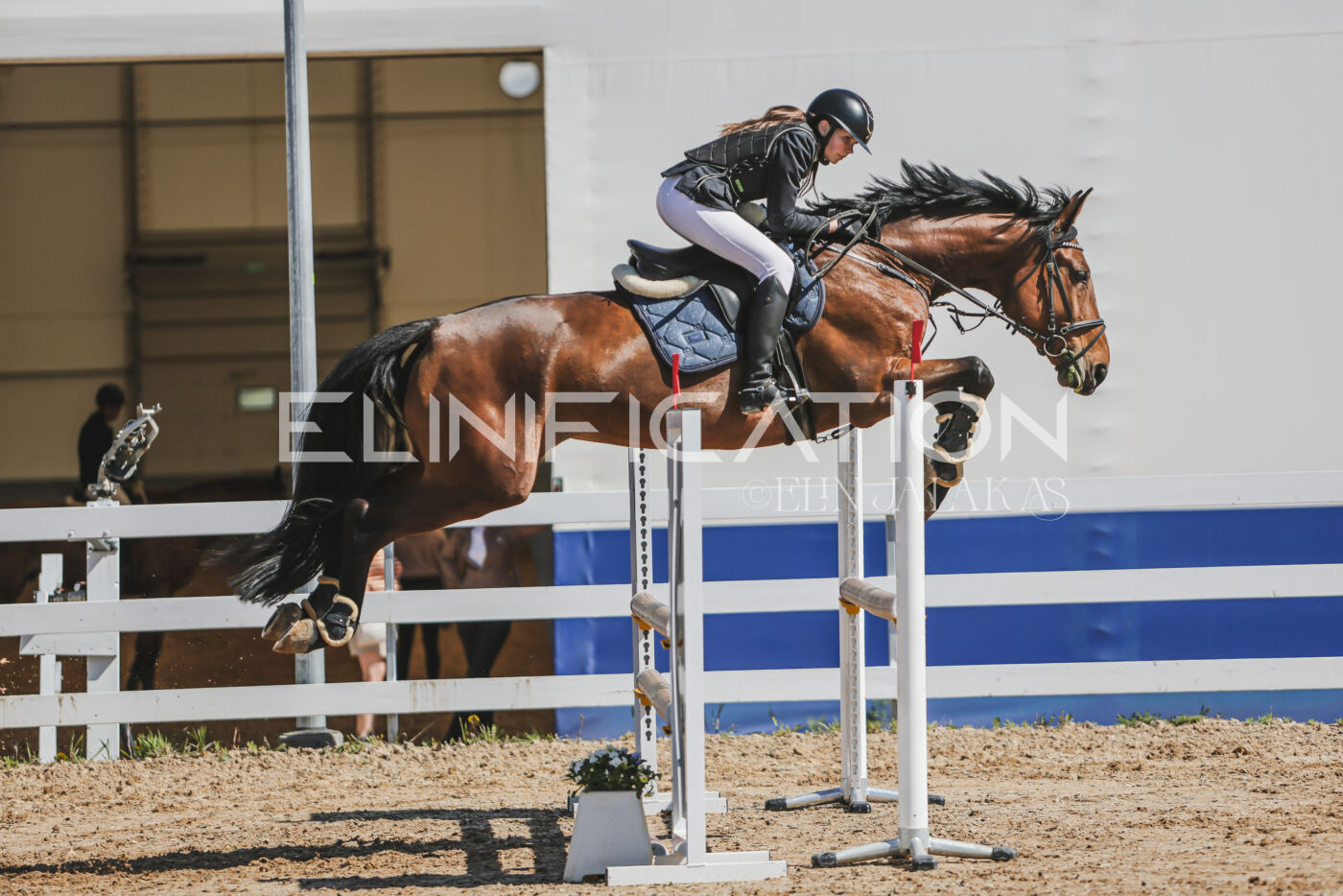Gramina_Kevad_2026_90_403