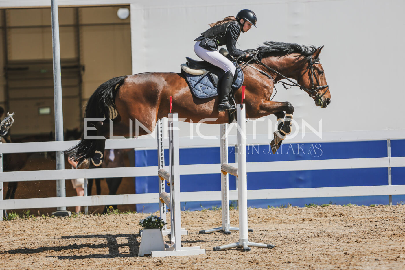 Gramina_Kevad_2026_90_404