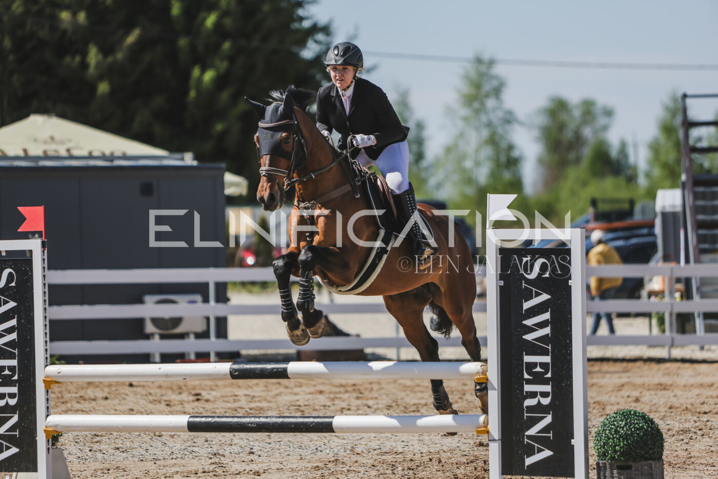 Gramina_Kevad_2026_90_408