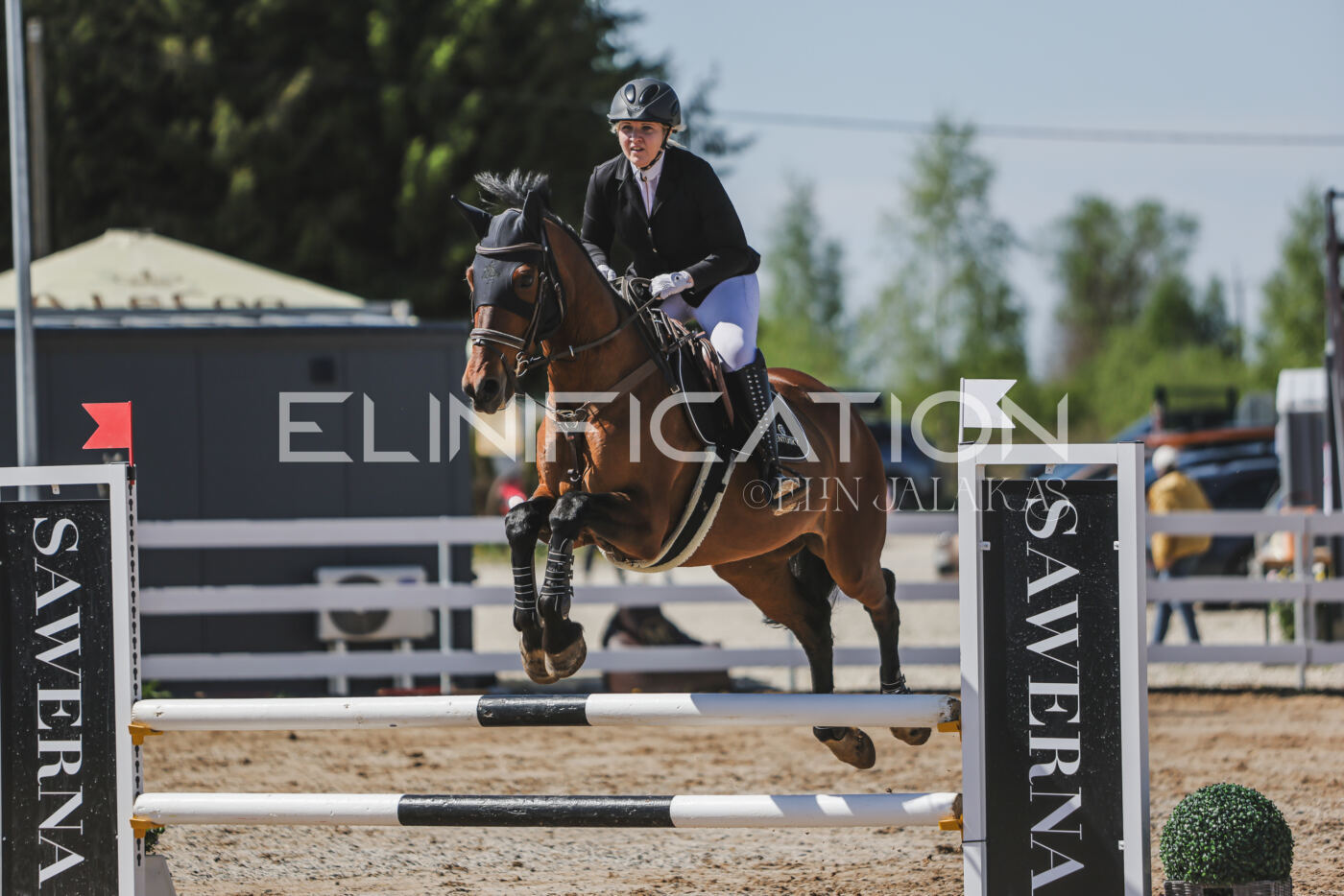 Gramina_Kevad_2026_90_409