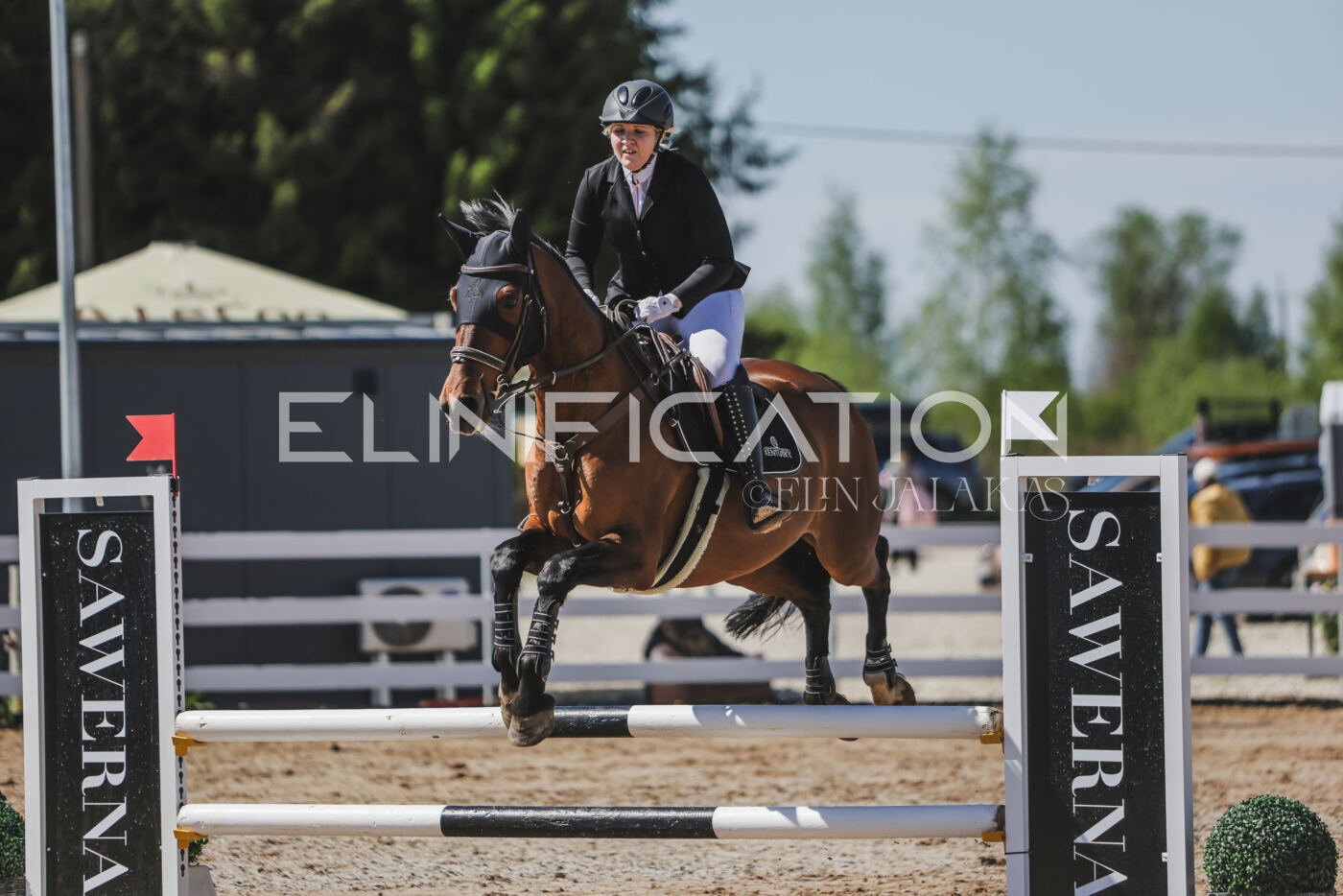 Gramina_Kevad_2026_90_410