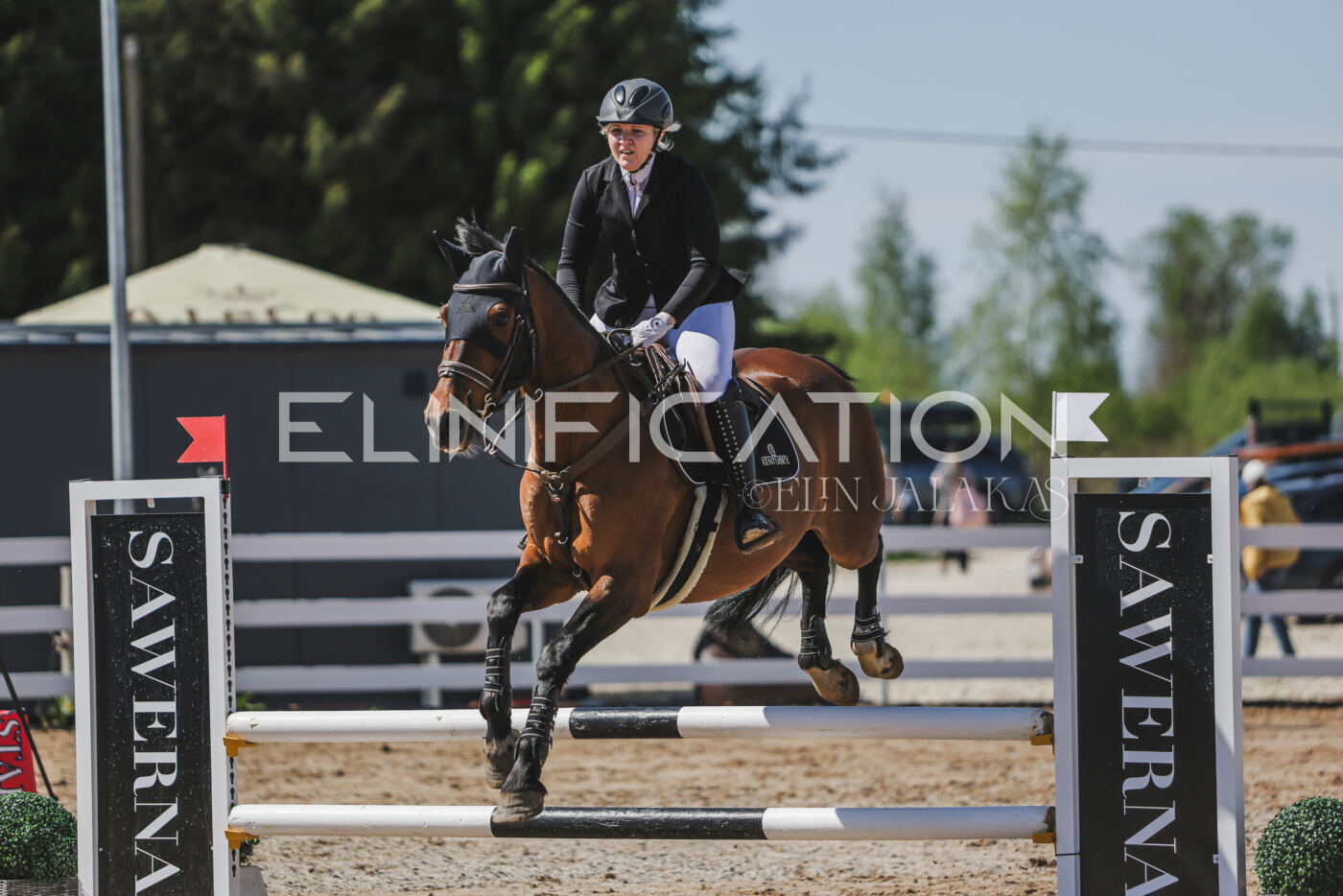 Gramina_Kevad_2026_90_411
