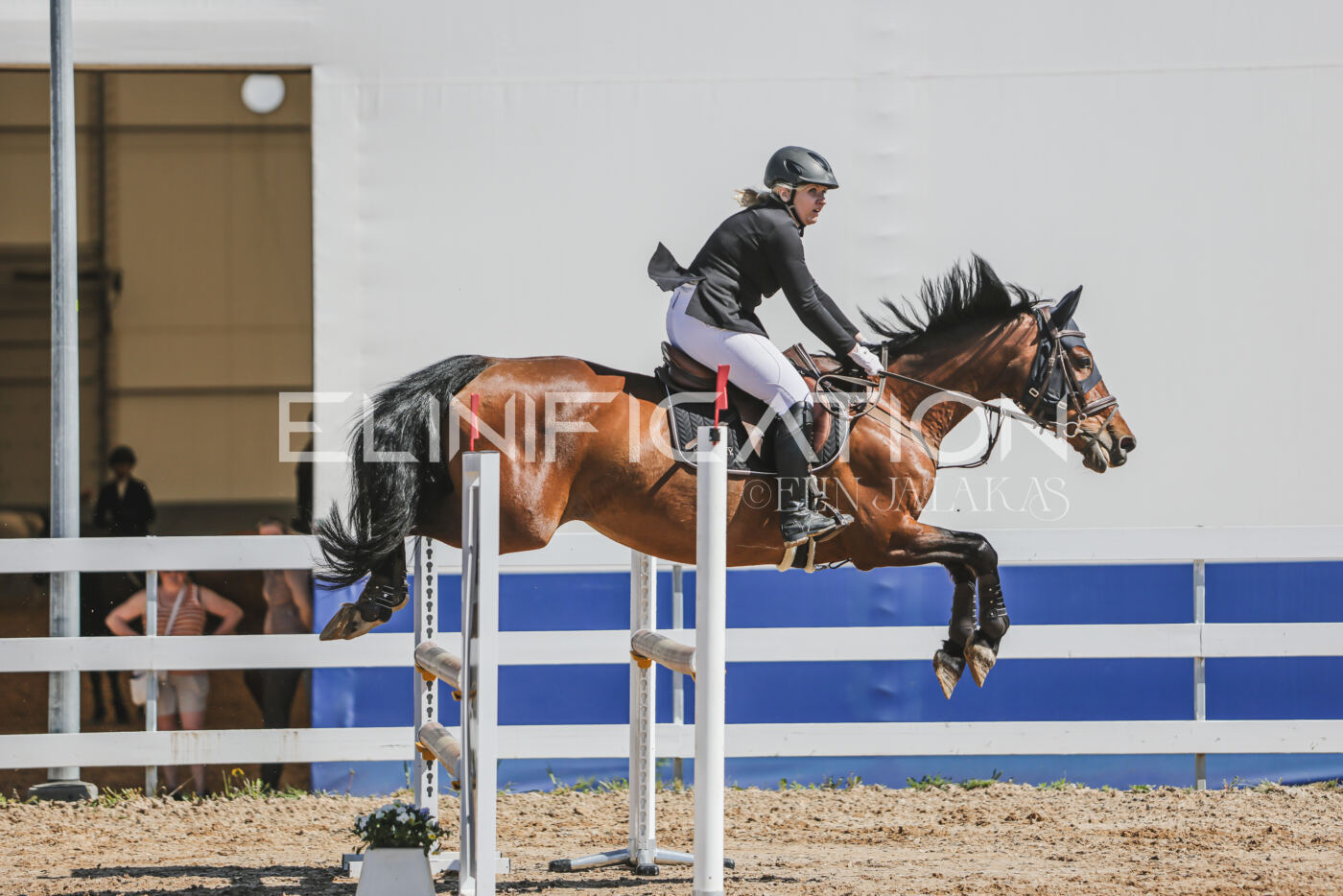 Gramina_Kevad_2026_90_423