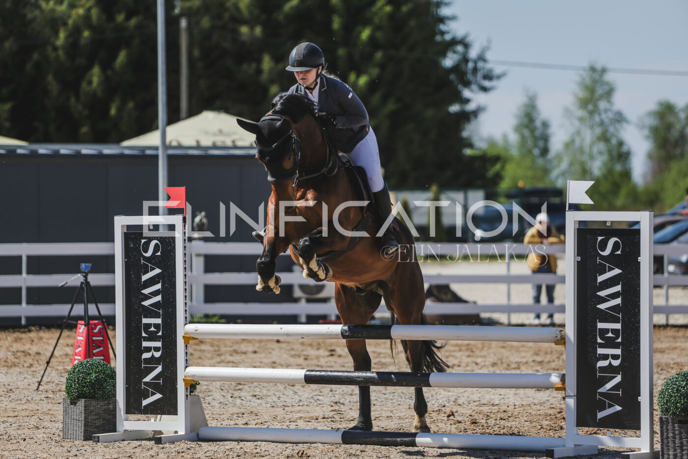 Gramina_Kevad_2026_90_424