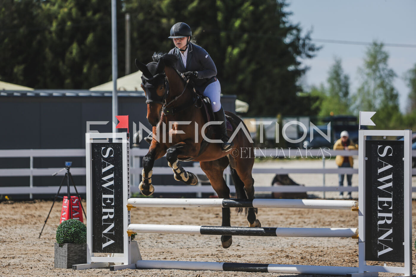 Gramina_Kevad_2026_90_426