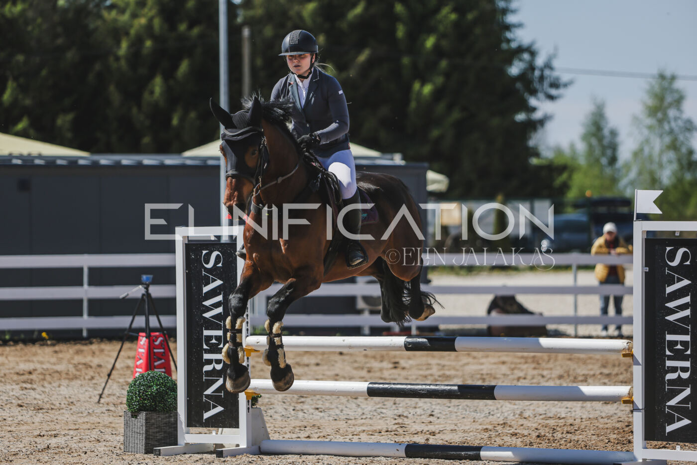 Gramina_Kevad_2026_90_428
