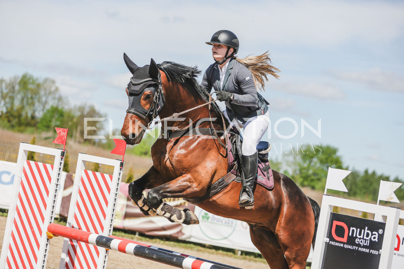 Gramina_Kevad_2026_90_430