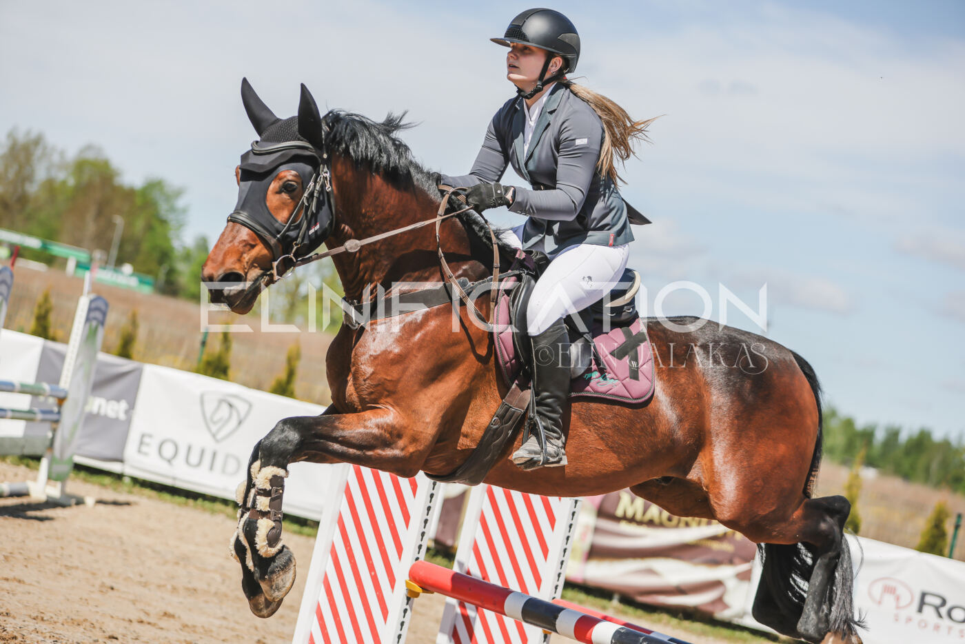 Gramina_Kevad_2026_90_434