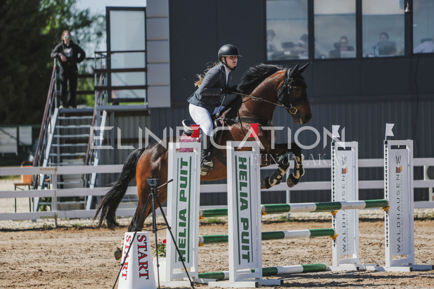 Gramina_Kevad_2026_90_435