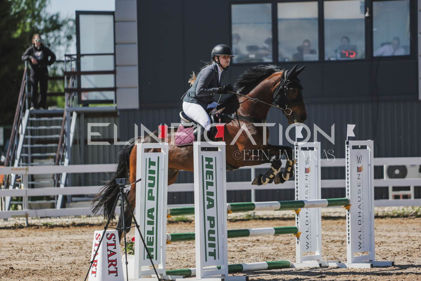 Gramina_Kevad_2026_90_436