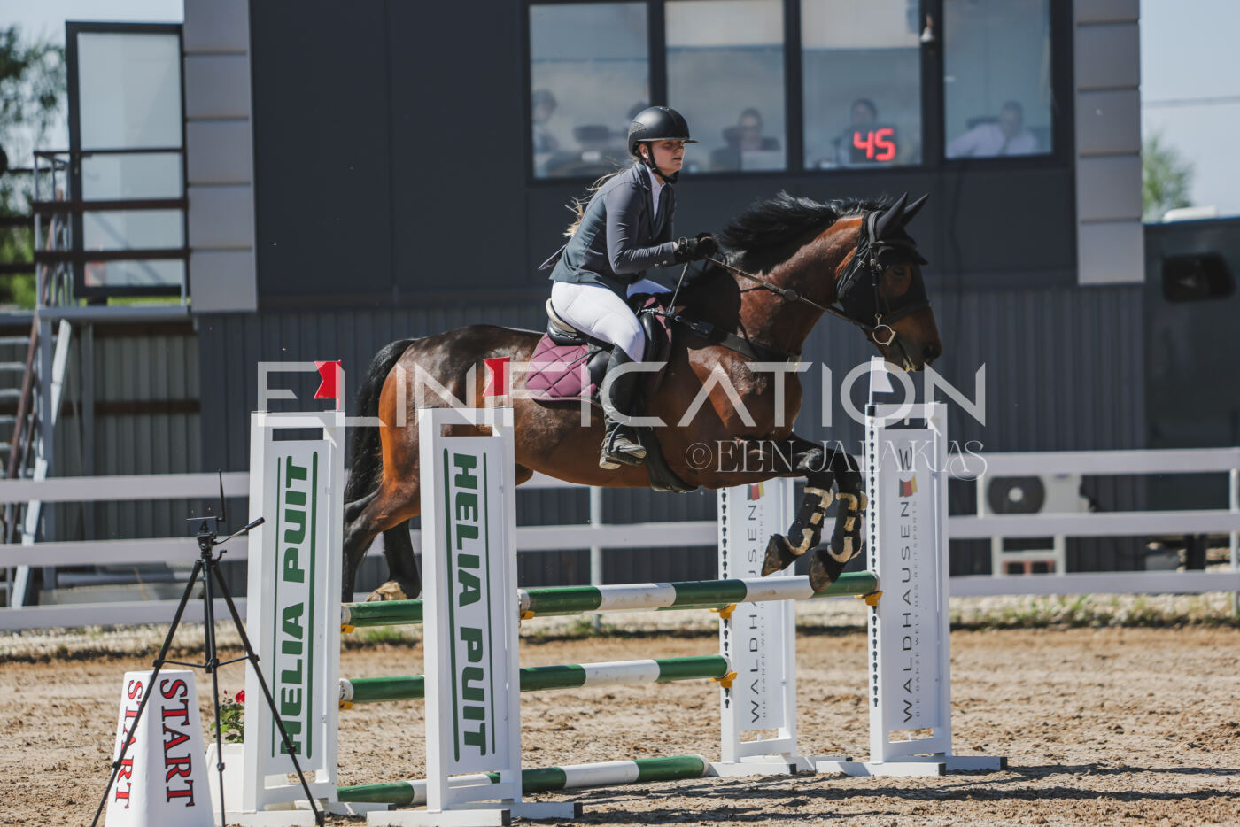 Gramina_Kevad_2026_90_438