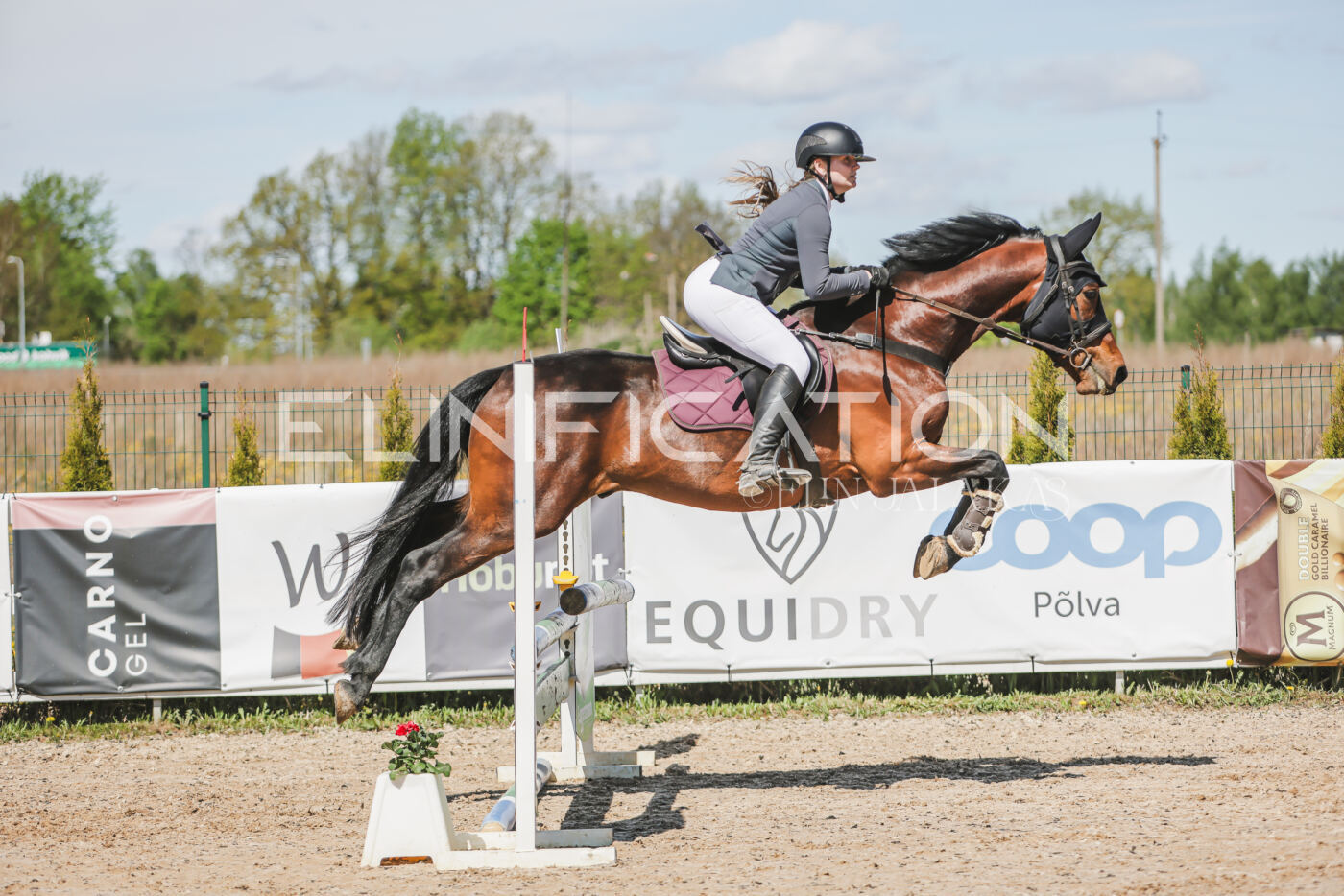 Gramina_Kevad_2026_90_441